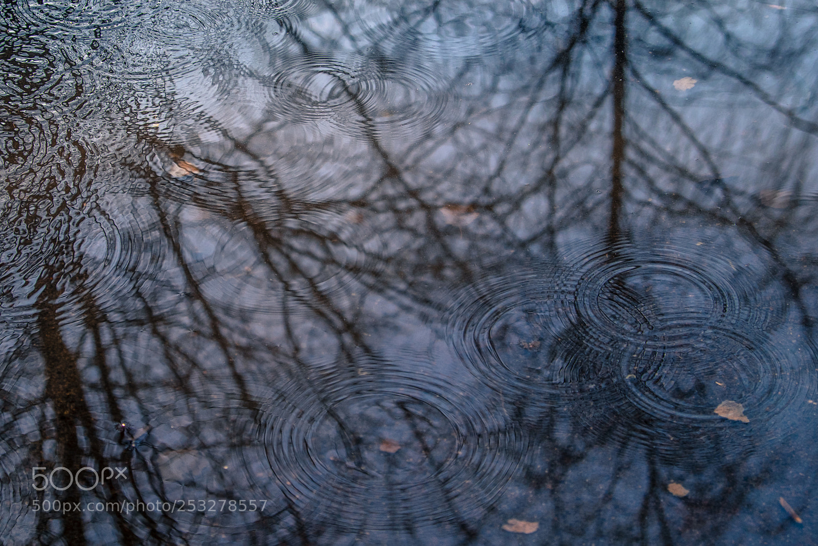 Fujifilm X-T1 sample photo. Circles photography