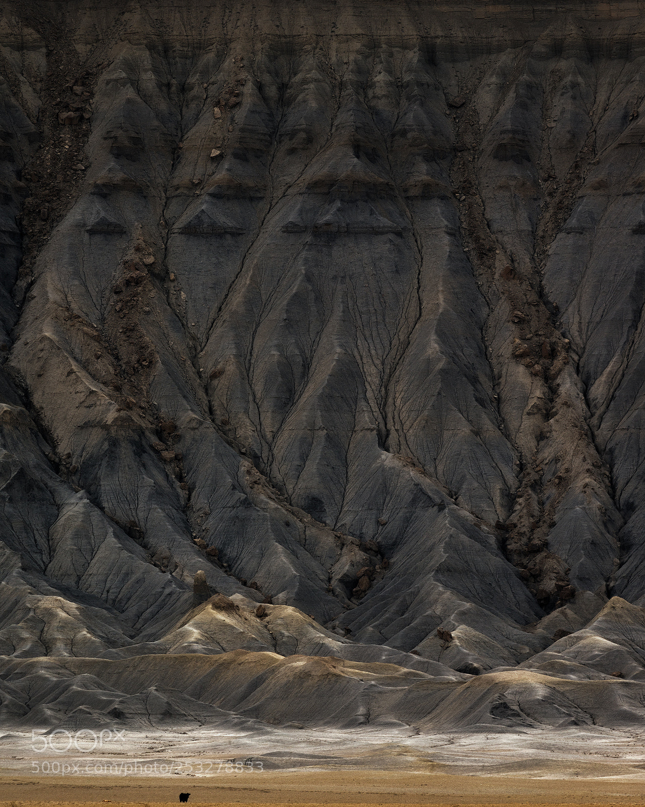Nikon D800 sample photo. Towering veins photography