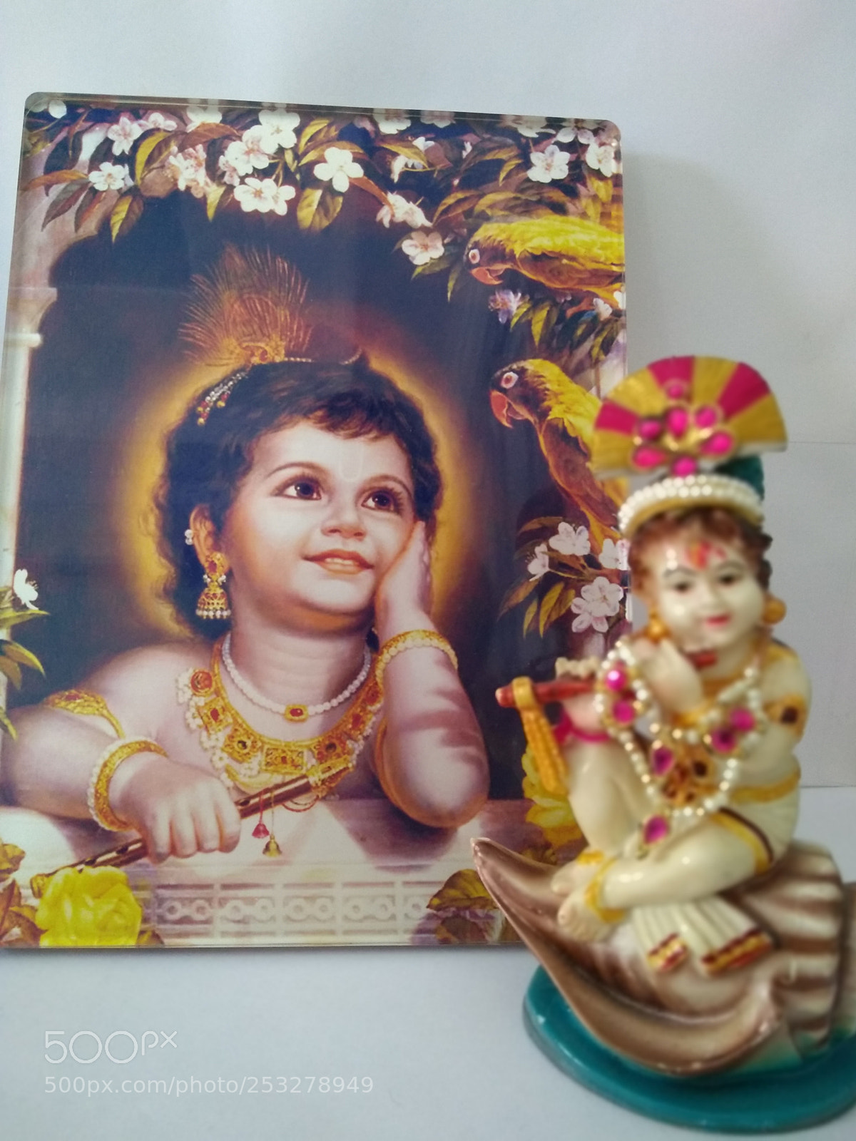 Motorola Moto G (5S) Plus sample photo. Untitled photography
