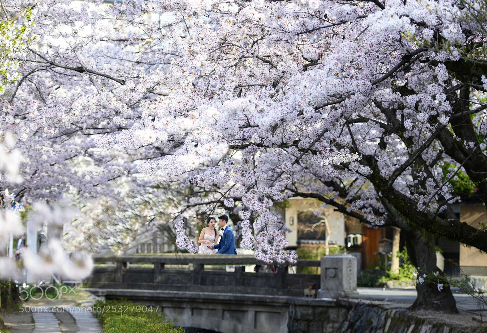 Nikon D850 sample photo. Romance in philosopher's walk (哲学の道) photography