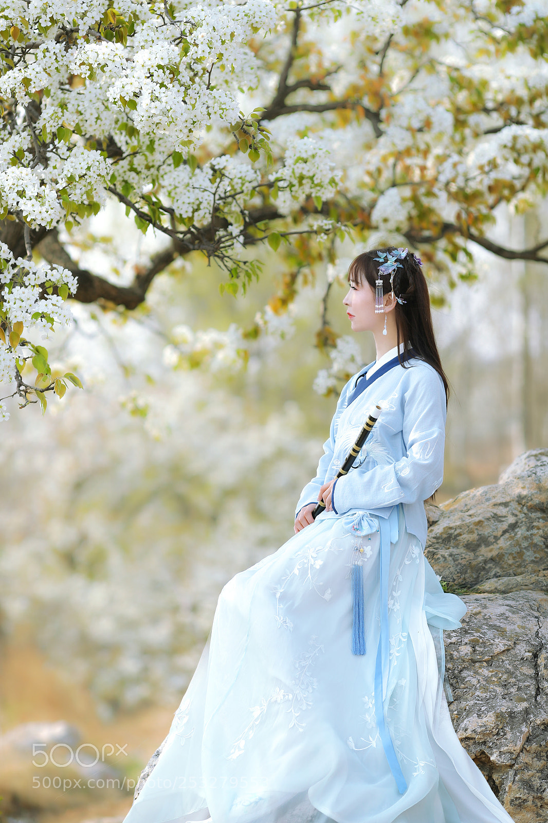 Canon EOS-1D X Mark II sample photo. 梨花汉服人像 photography