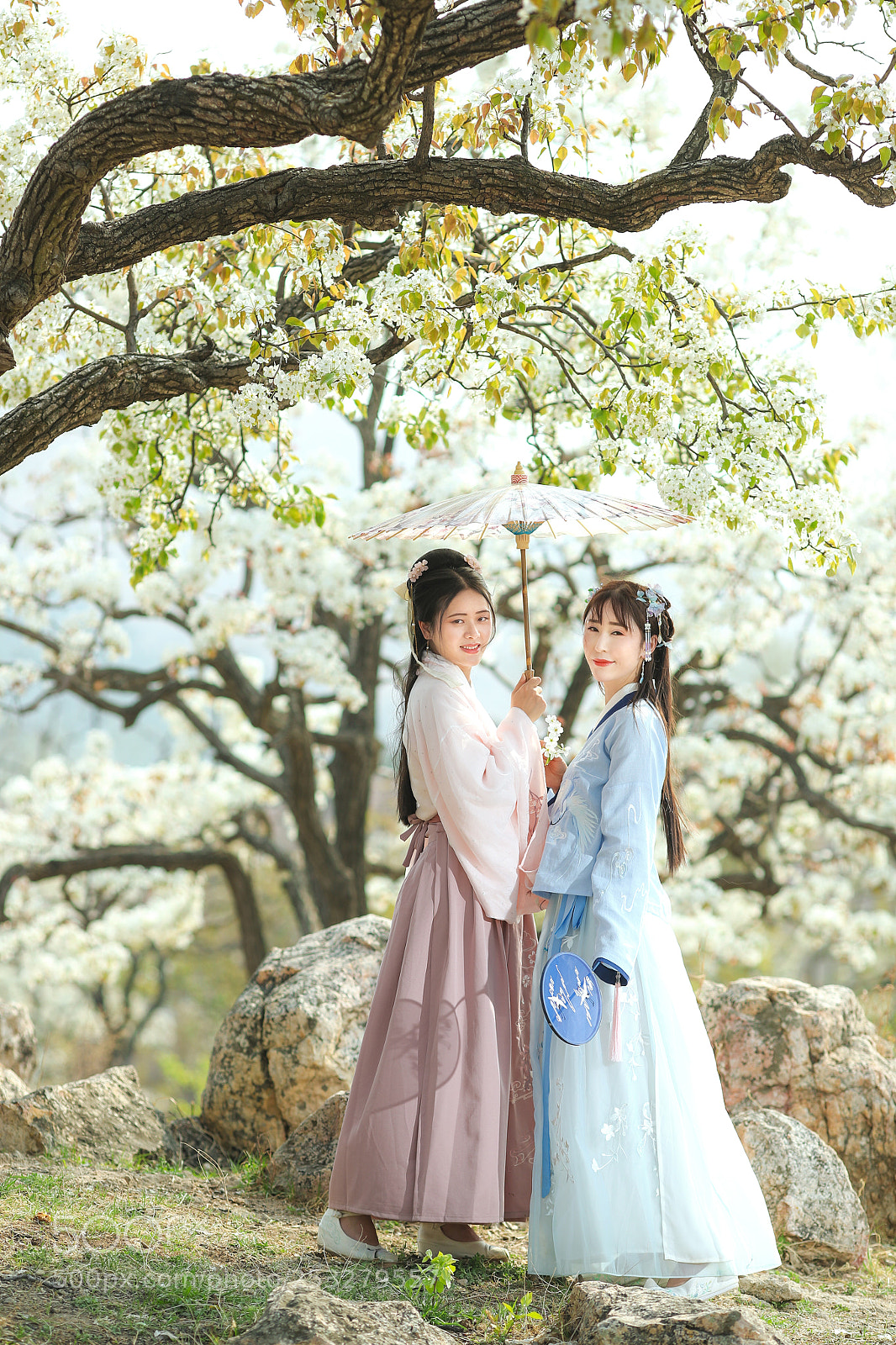 Canon EOS-1D X Mark II sample photo. 梨花汉服人像 photography