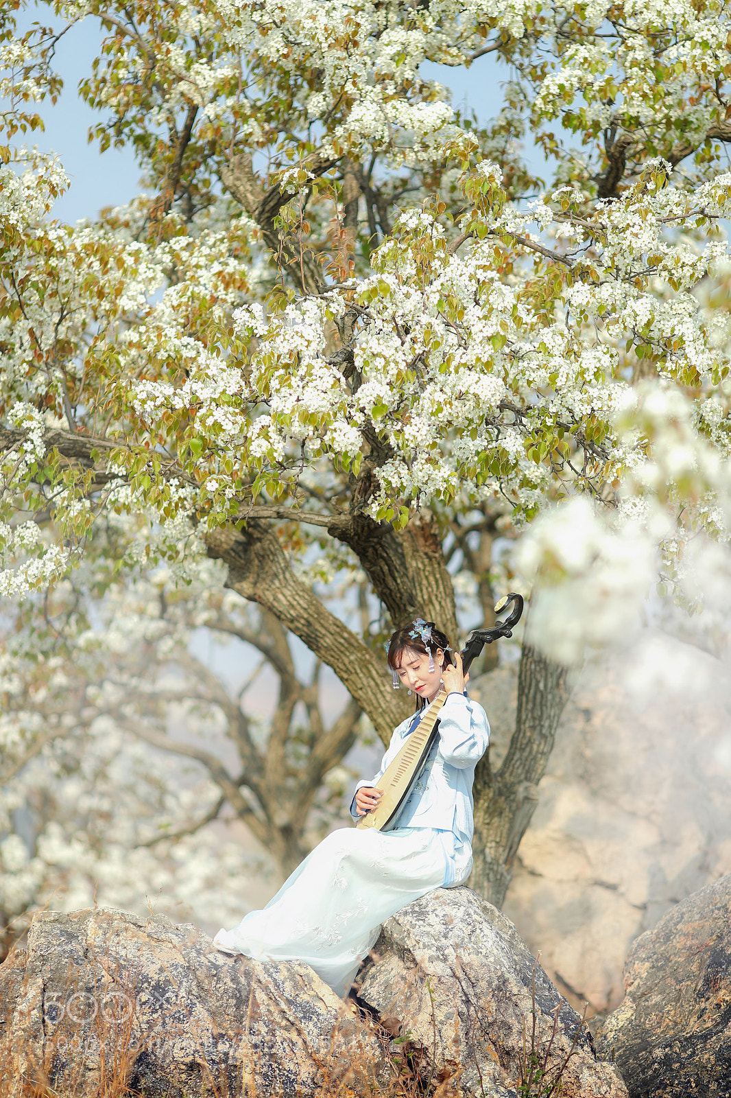 Canon EOS-1D X Mark II sample photo. 梨花汉服人像 photography