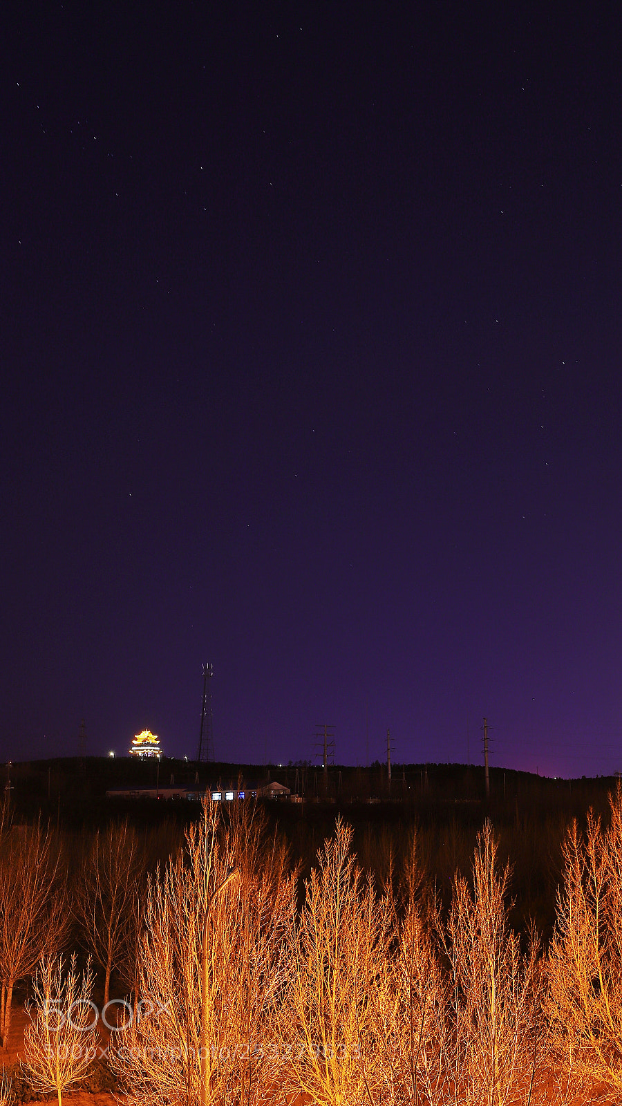 Canon EOS 6D Mark II sample photo. Untitled photography