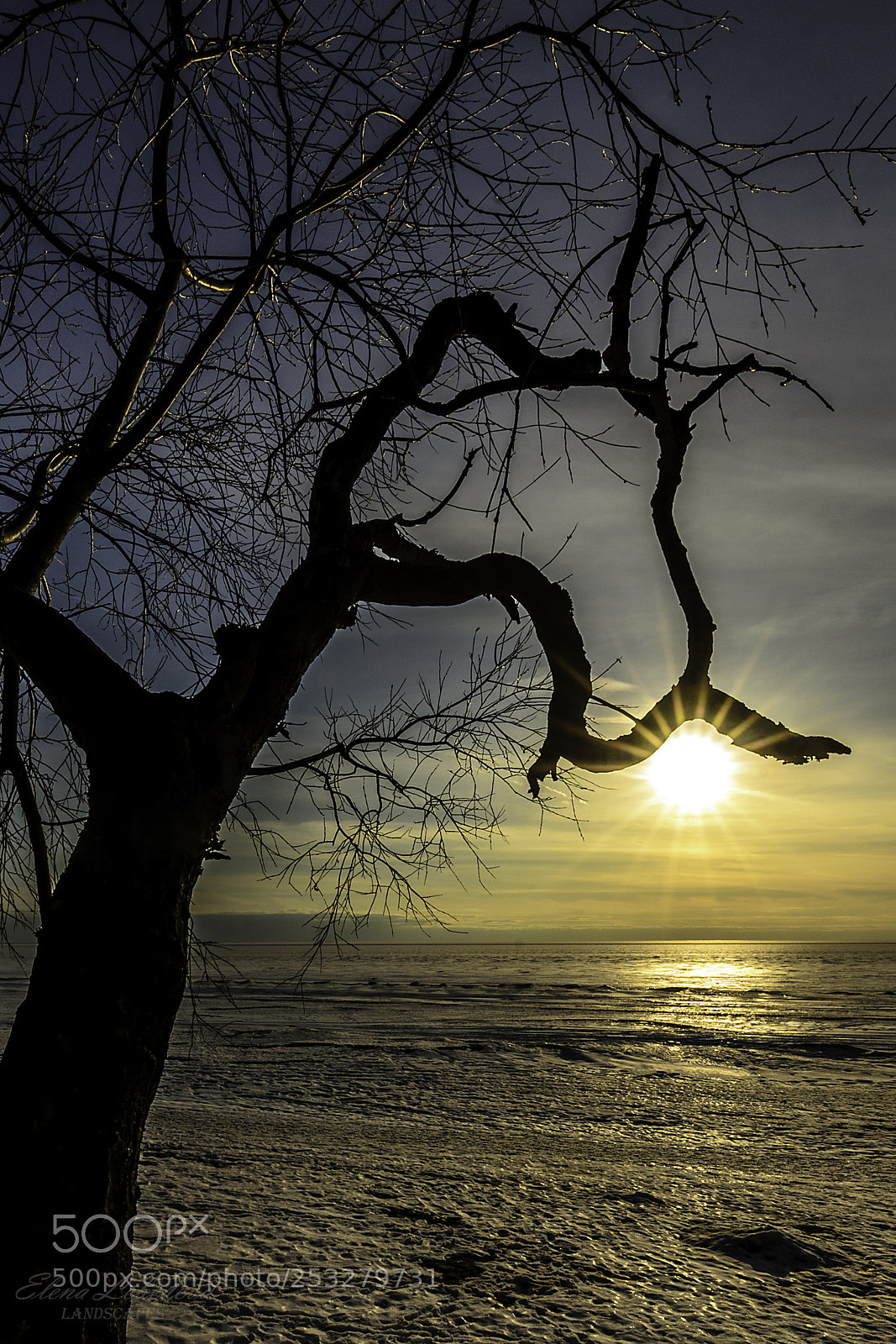 Nikon D7000 sample photo. Awakening of spring photography