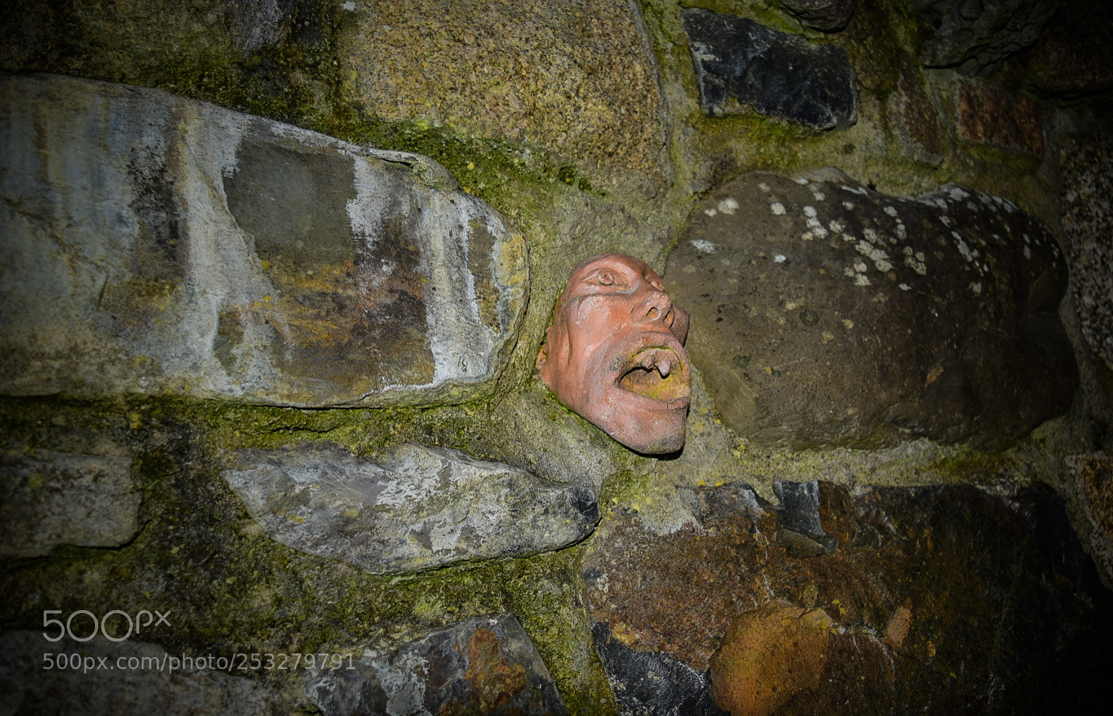 Nikon D5300 sample photo. Face photography