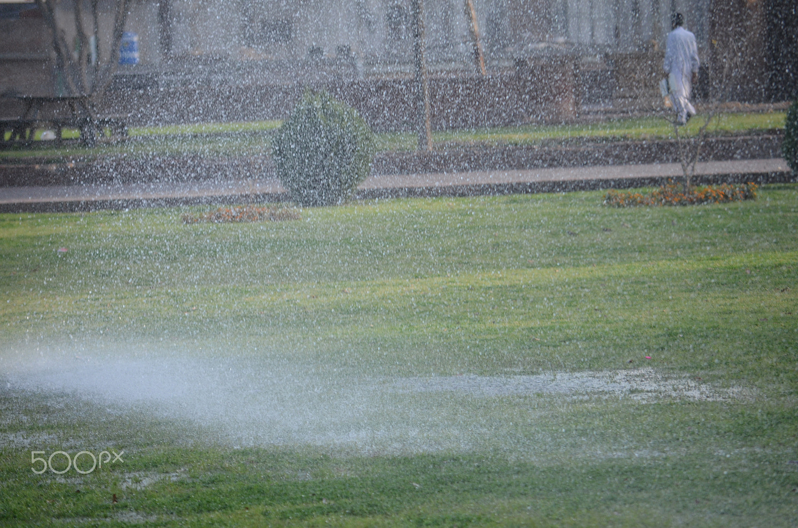 Nikon D5100 sample photo. Shahi qila lahore photography