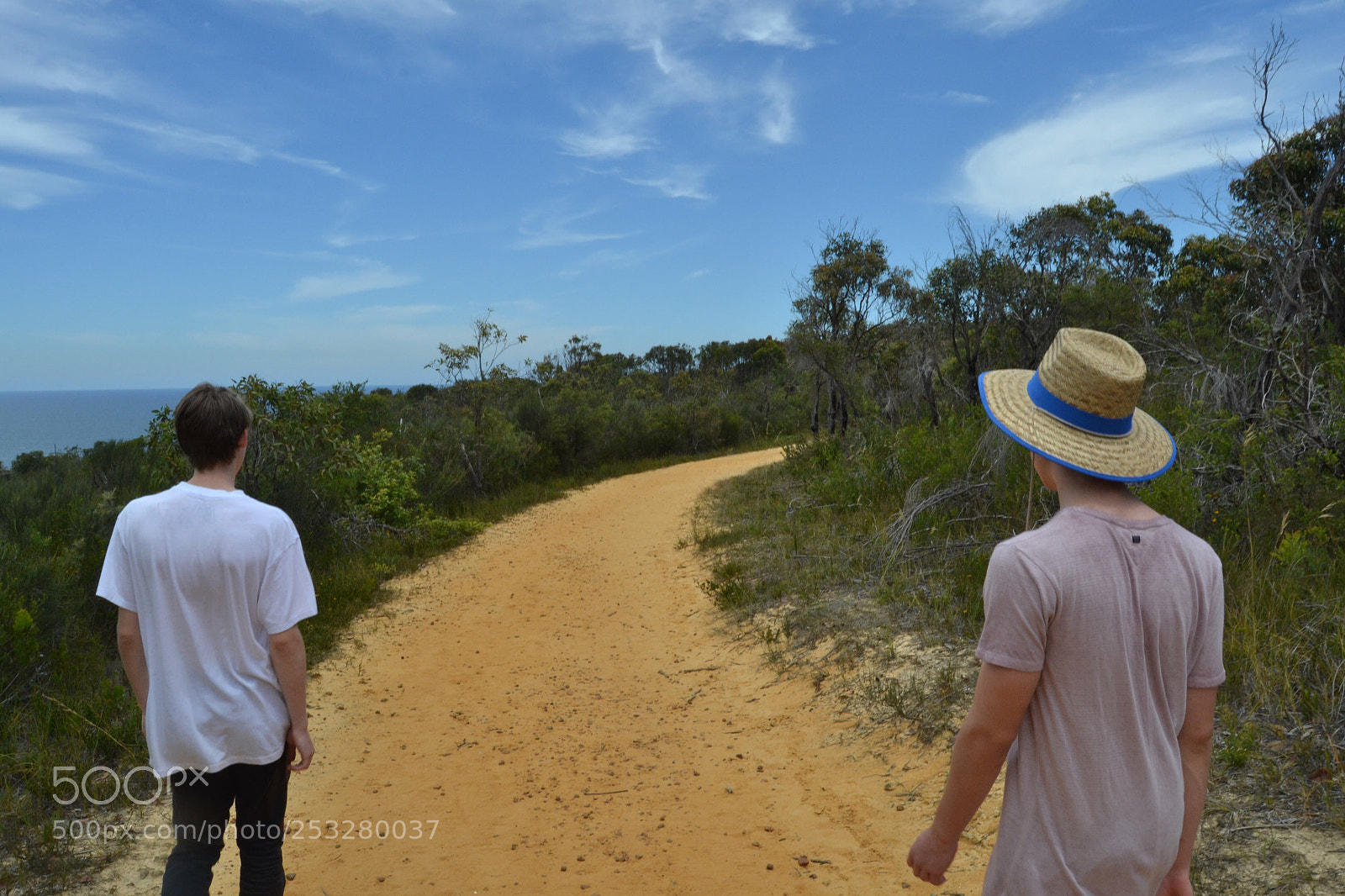 Nikon D3100 sample photo. Untitled photography