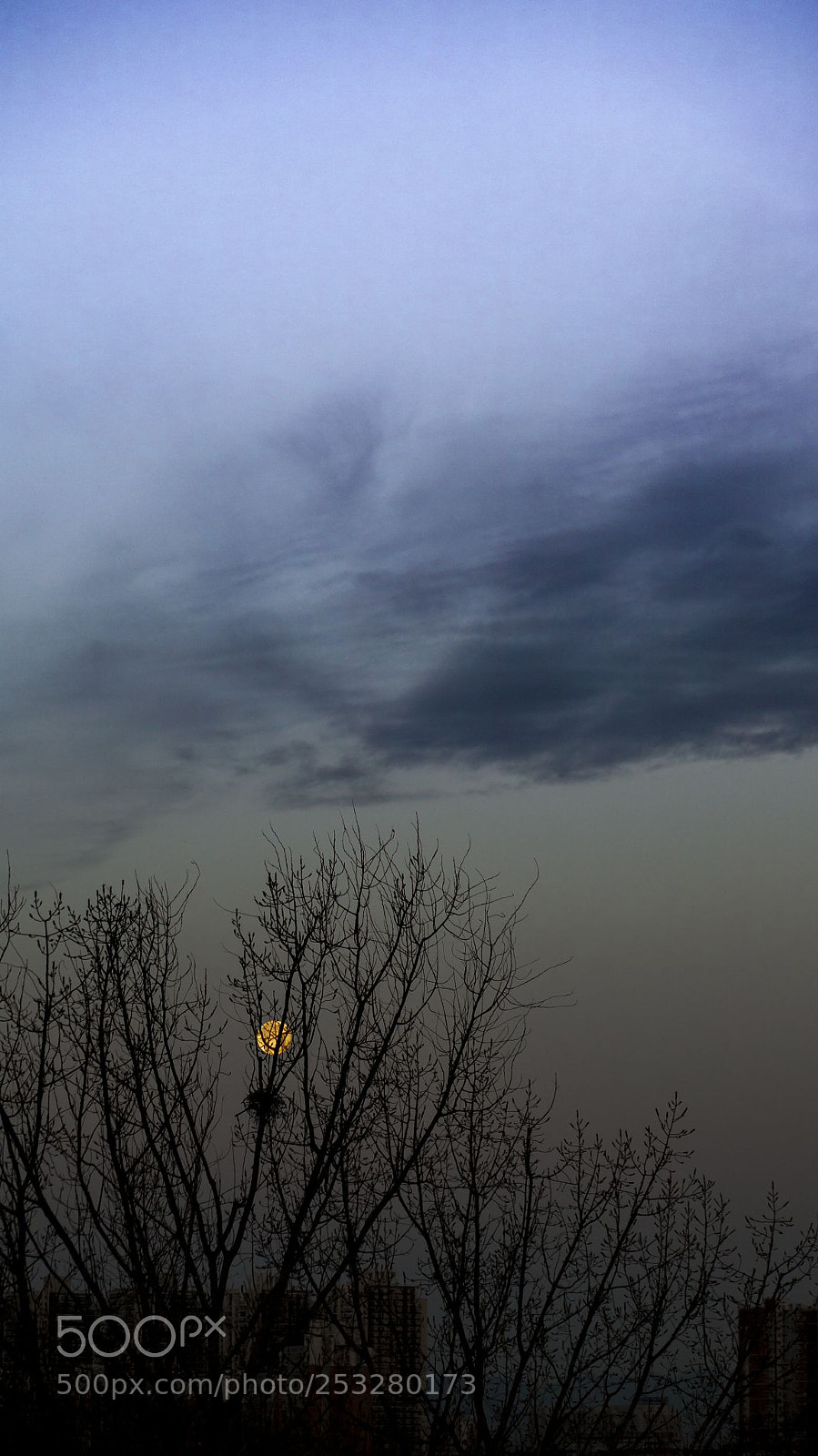Canon EOS 5D sample photo. 月 photography