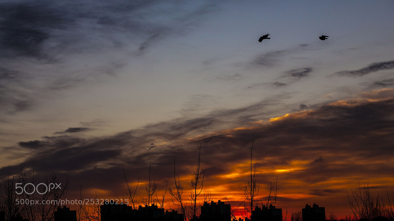 Canon EOS 5D sample photo. 日出 photography