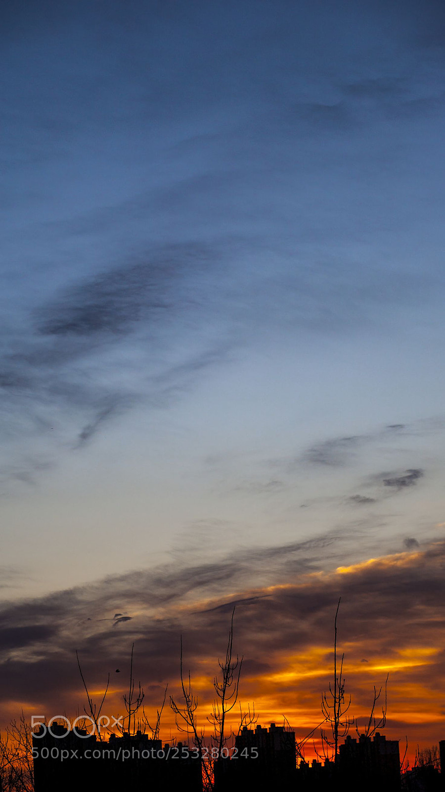 Canon EOS 5D sample photo. 日出 photography