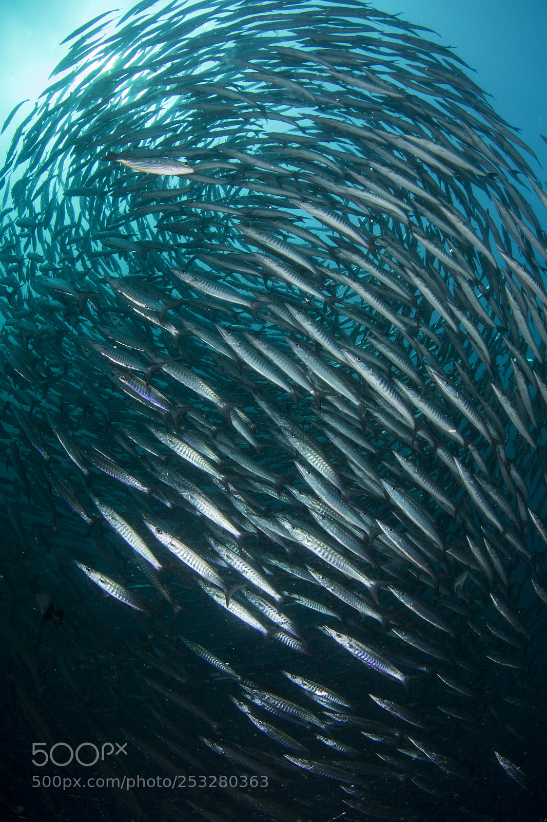 Canon EOS 7D Mark II sample photo. Barracuda tornado photography