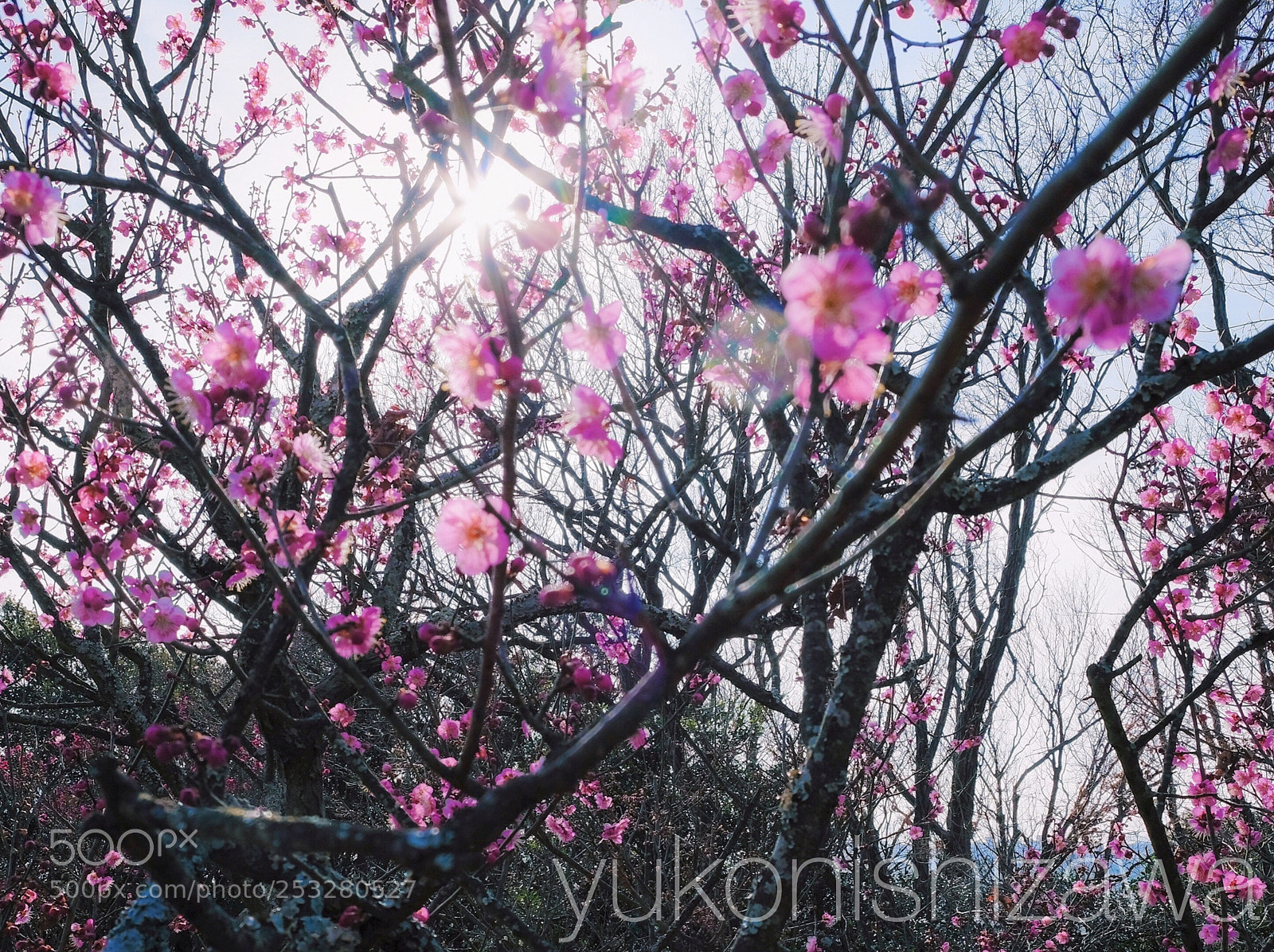 Fujifilm X-Pro2 sample photo. Hello 002 photography