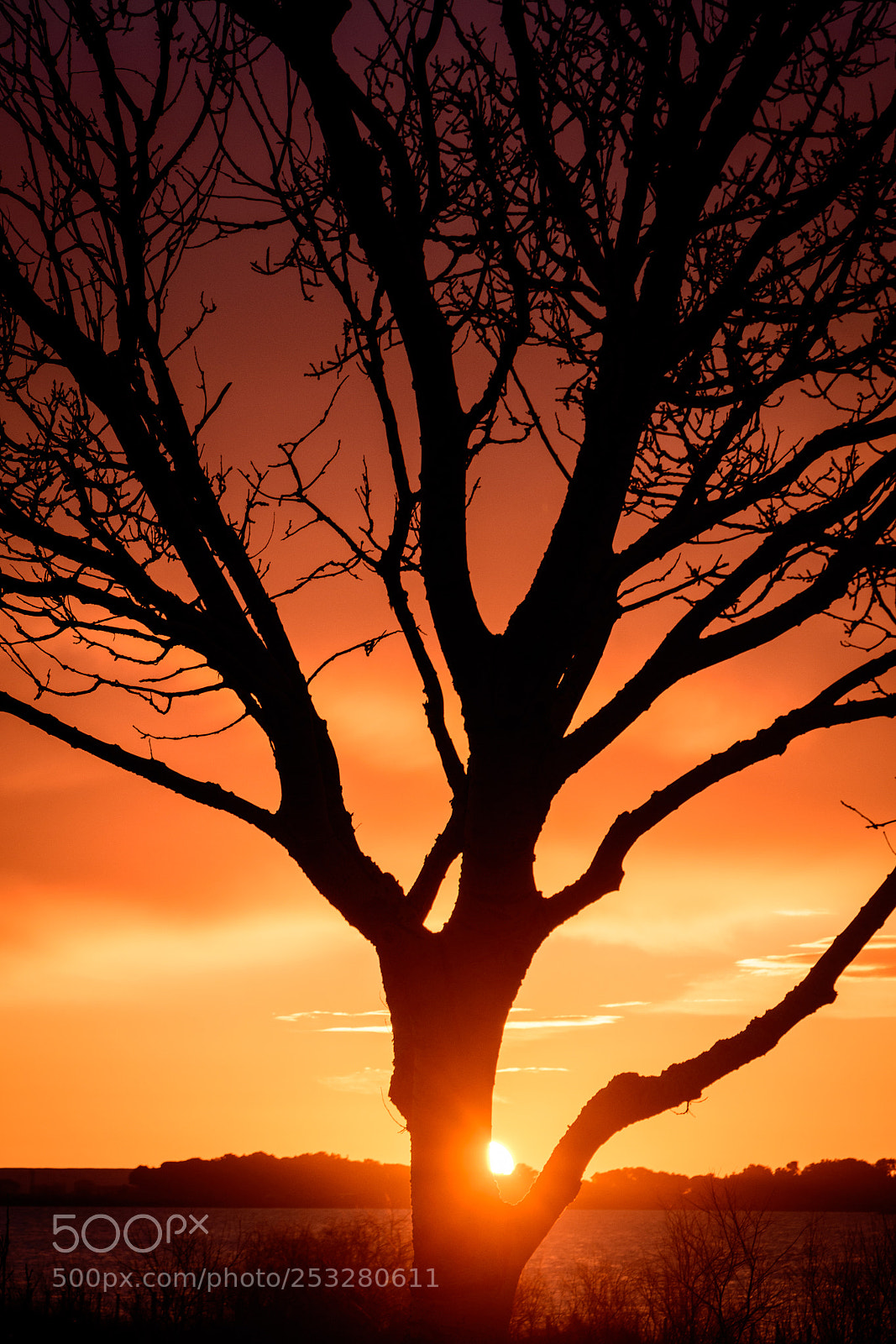 Nikon D5500 sample photo. Camargue sunrise px photography