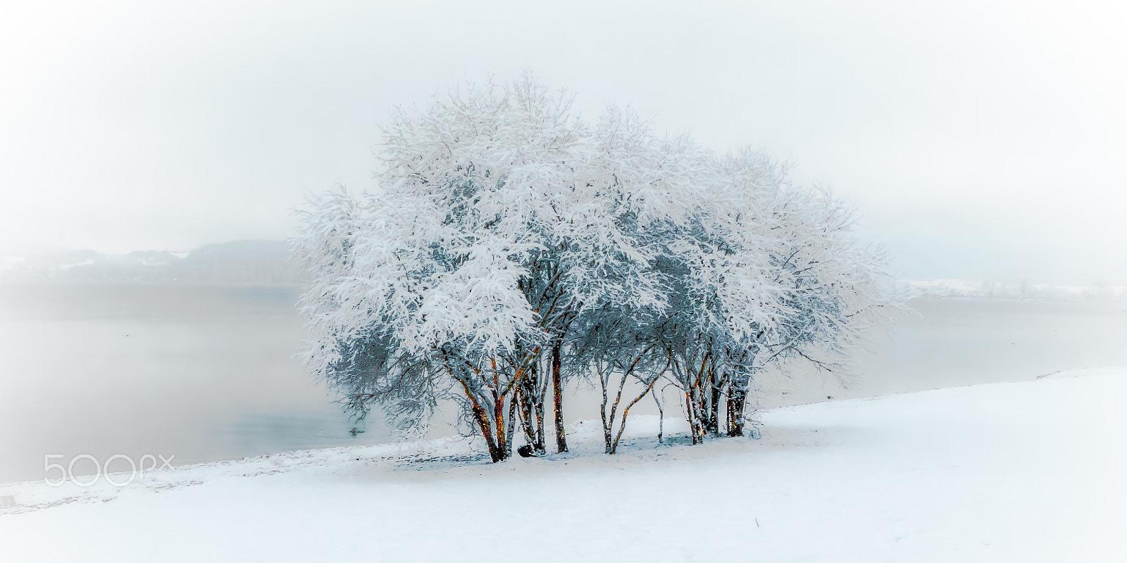 Panasonic DC-TZ91 sample photo. Bäume am see im winter photography