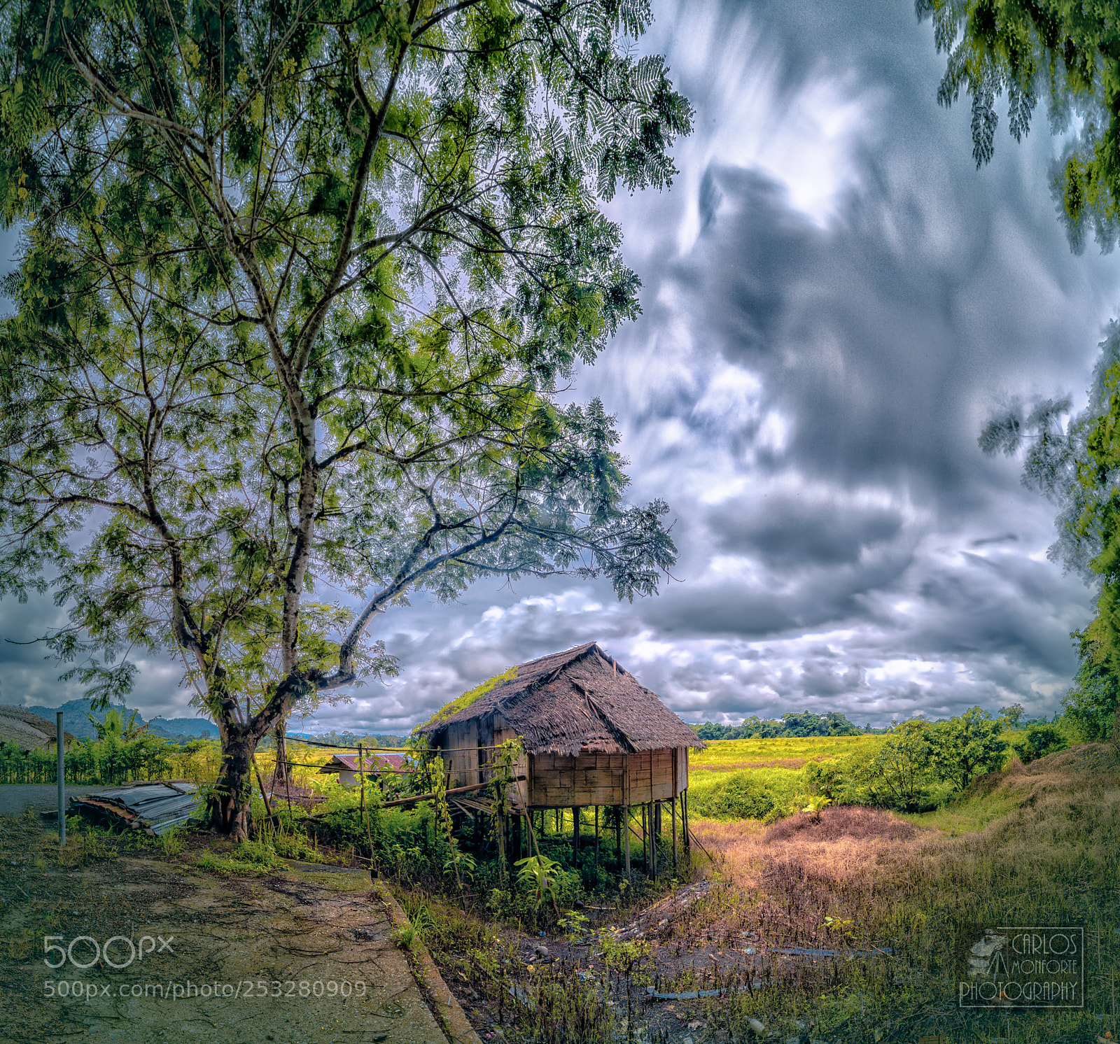 Canon EOS-1D X Mark II sample photo. Lost paradise photography