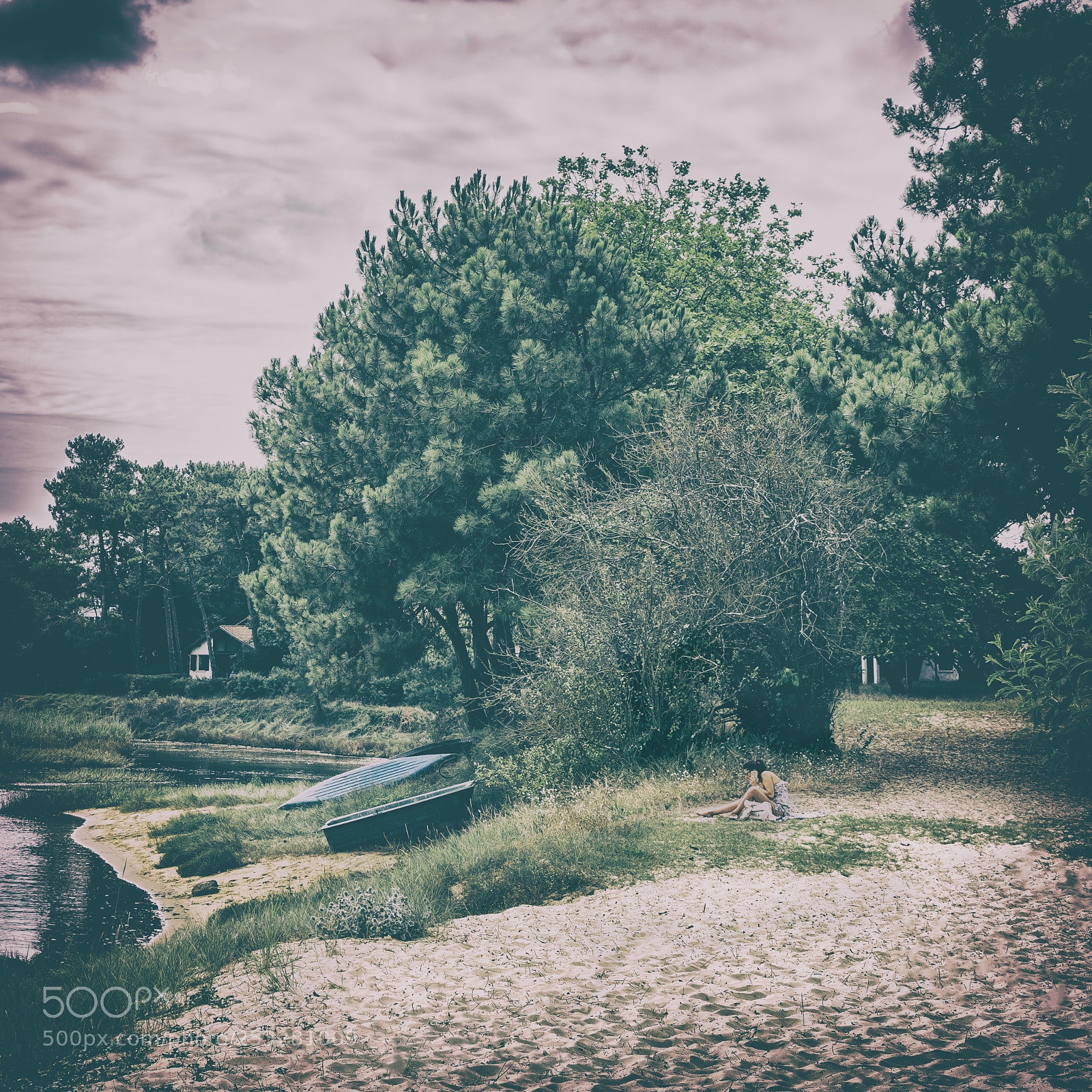 Nikon D7100 sample photo. Sous mon arbre photography