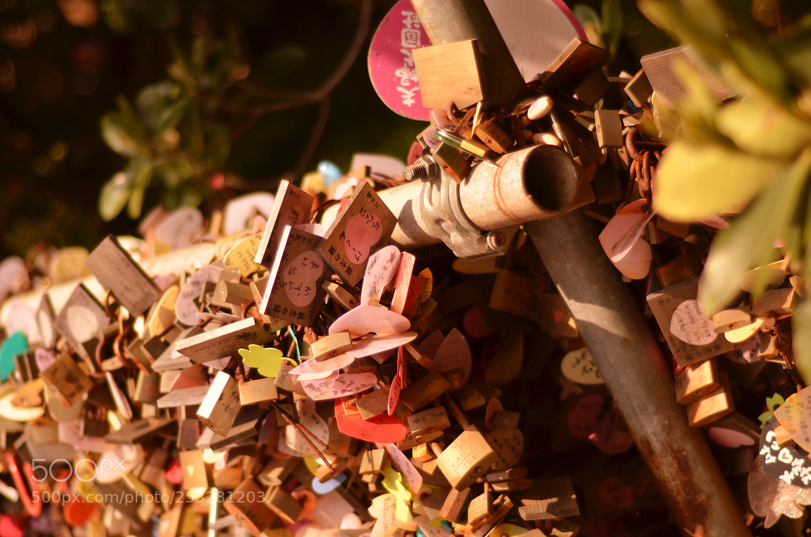 Nikon D7000 sample photo. Untitled photography