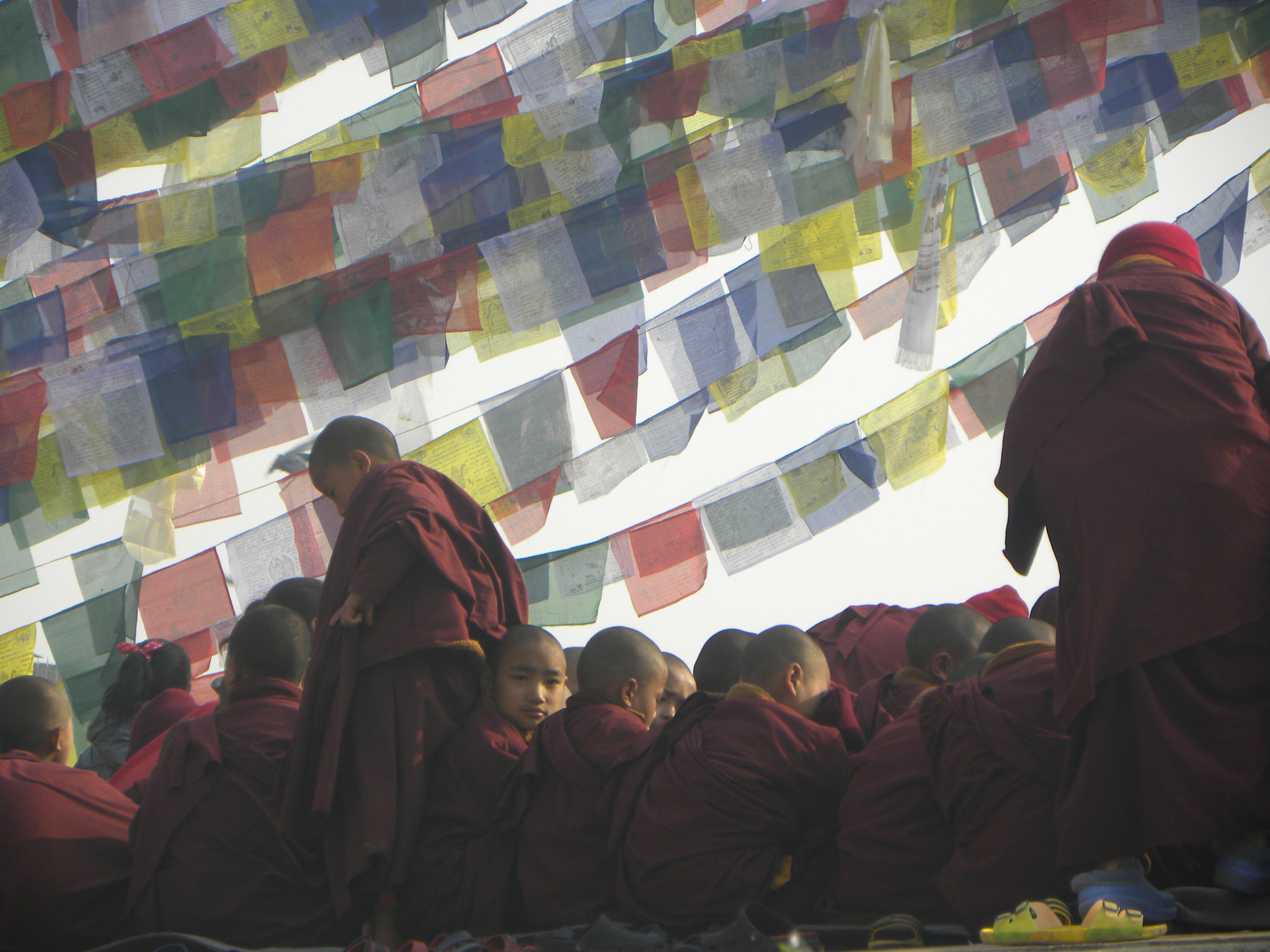 Nikon Coolpix P90 sample photo. Boy monks under prayer flags photography