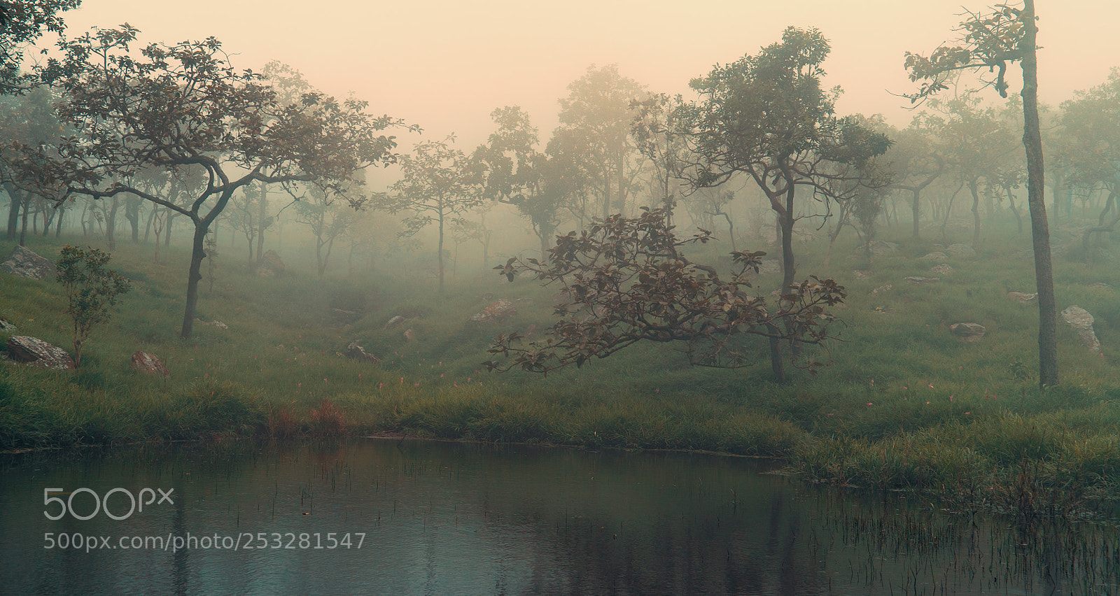 Sony a7S sample photo. Chaiyaphum photography