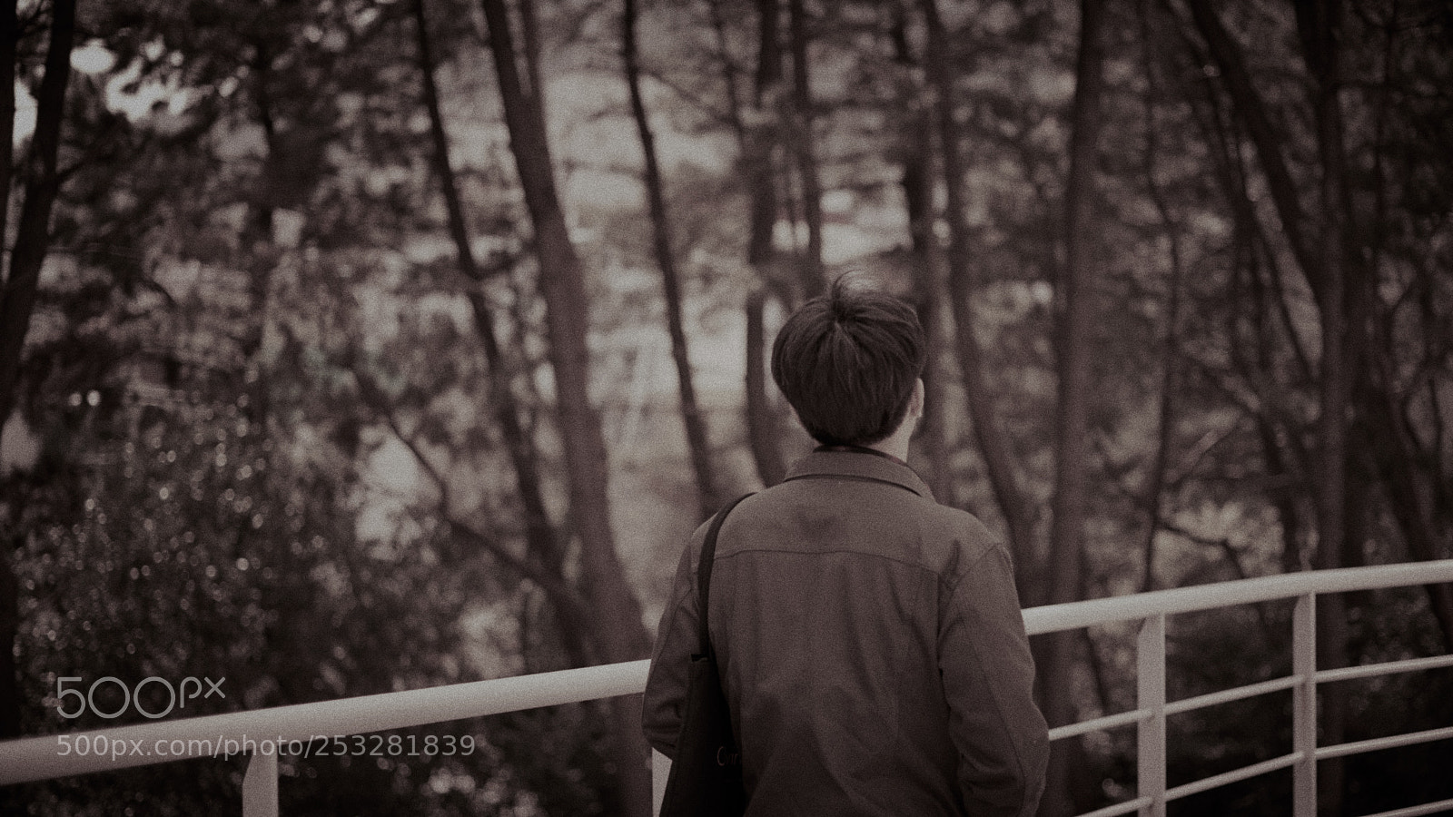 Sony a7R II sample photo. Untitled photography