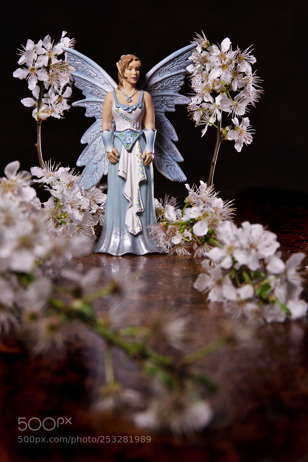 Canon EF 24-70mm F4L IS USM sample photo. Spring magic photography
