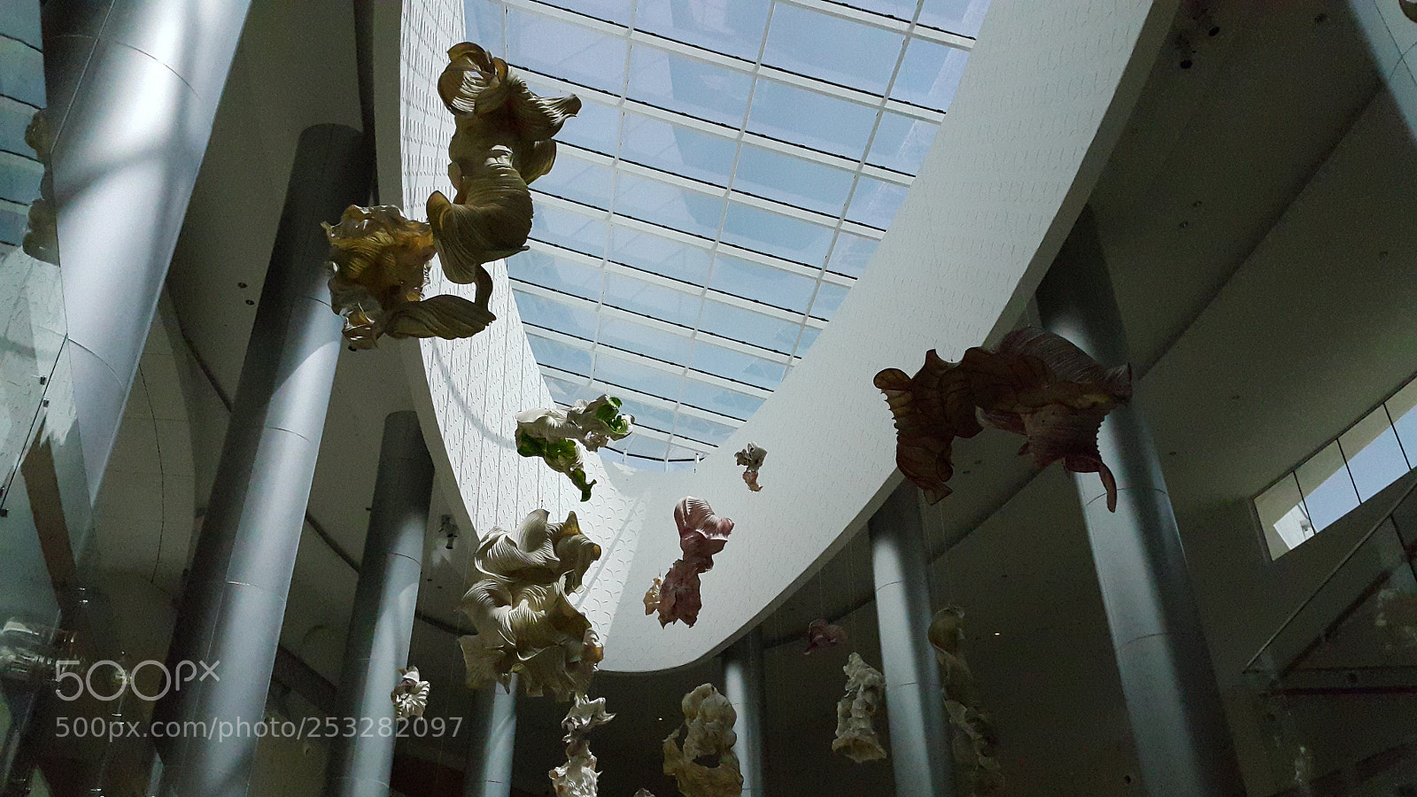 Samsung Galaxy Note4 sample photo. You'll float too photography
