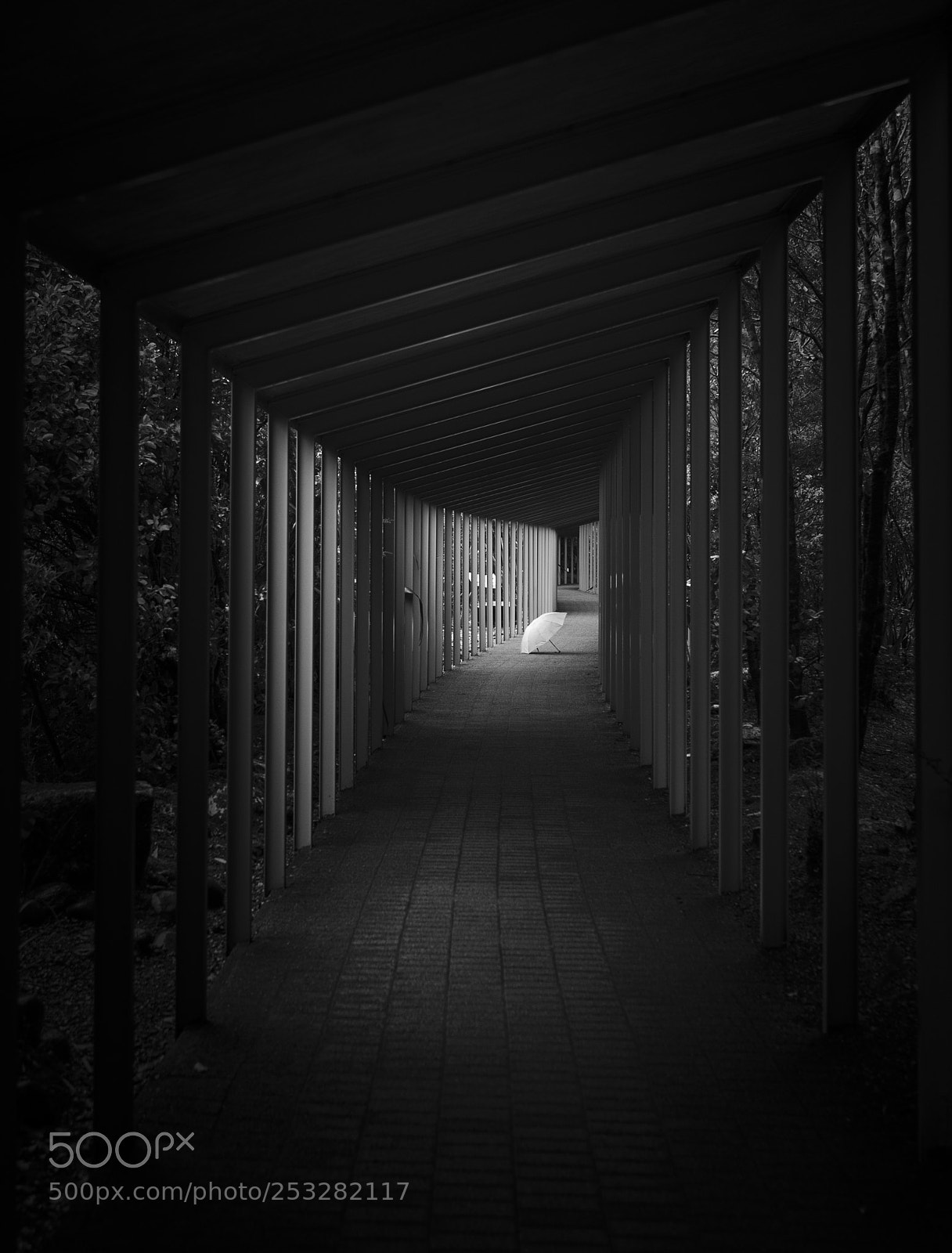 Canon EOS-1D X Mark II sample photo. The lost umbrella photography