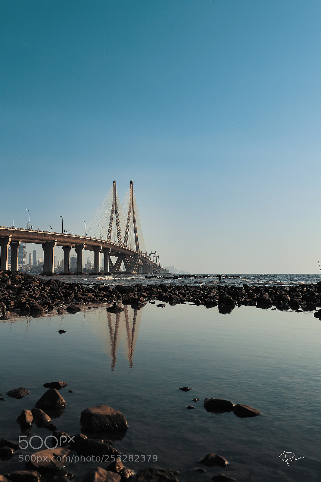 Canon EOS-1D X Mark II sample photo. Reflection photography