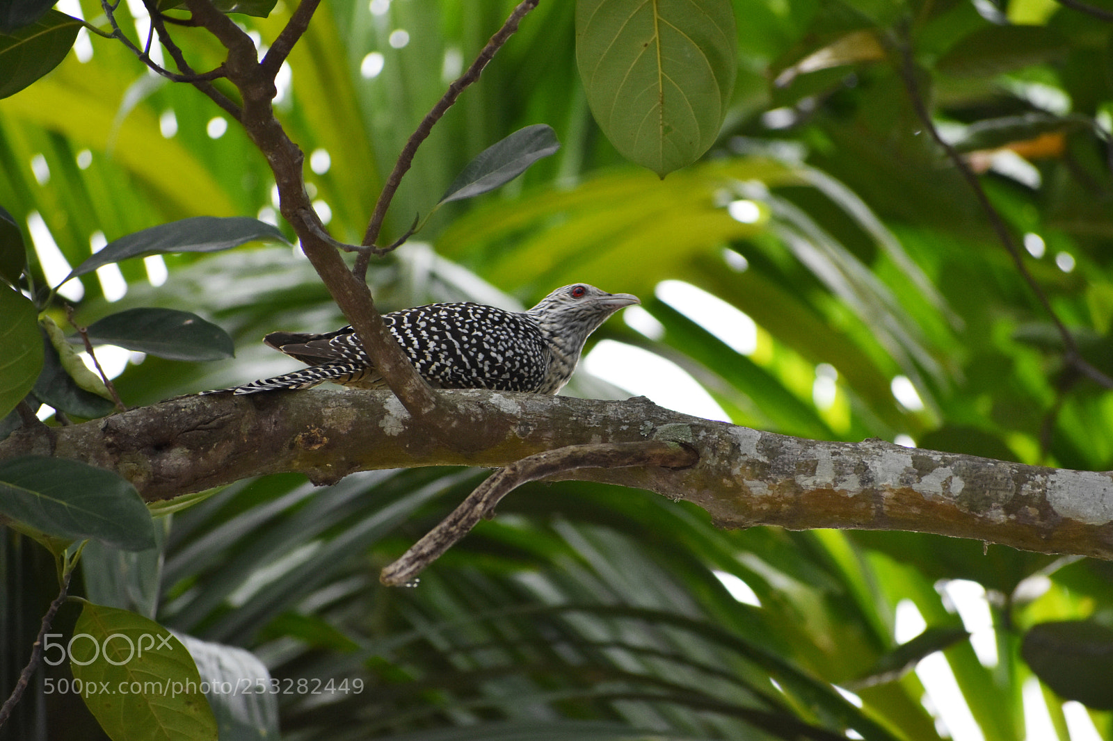Nikon D3400 sample photo. Name please? photography