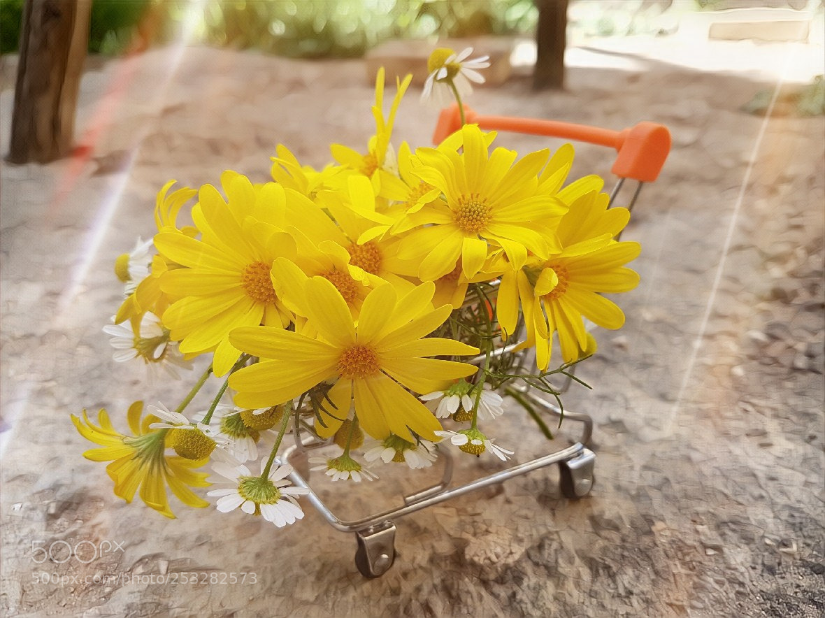 Samsung Galaxy S7 Edge sample photo. Untitled photography