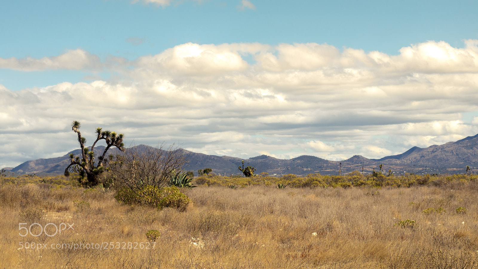 Canon EOS 80D sample photo. Mexican landcape photography