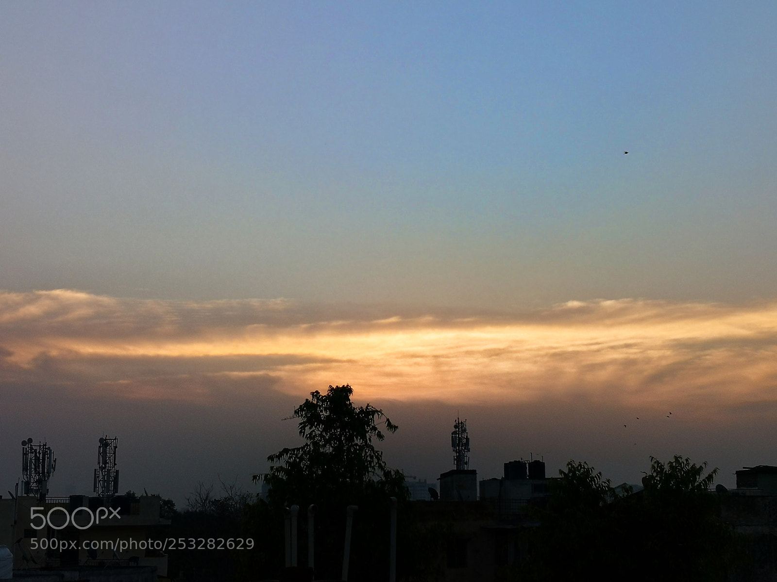 HUAWEI Mate 10 sample photo. Untitled photography