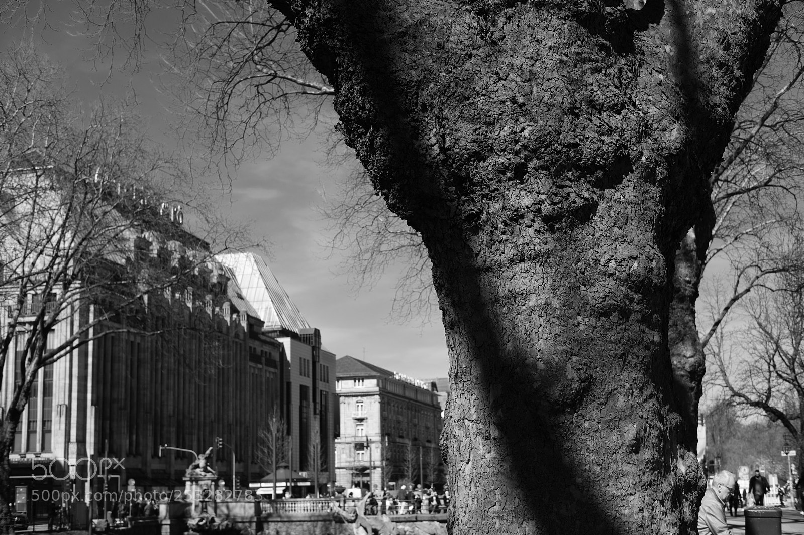 Fujifilm X-T2 sample photo. The tree k photography