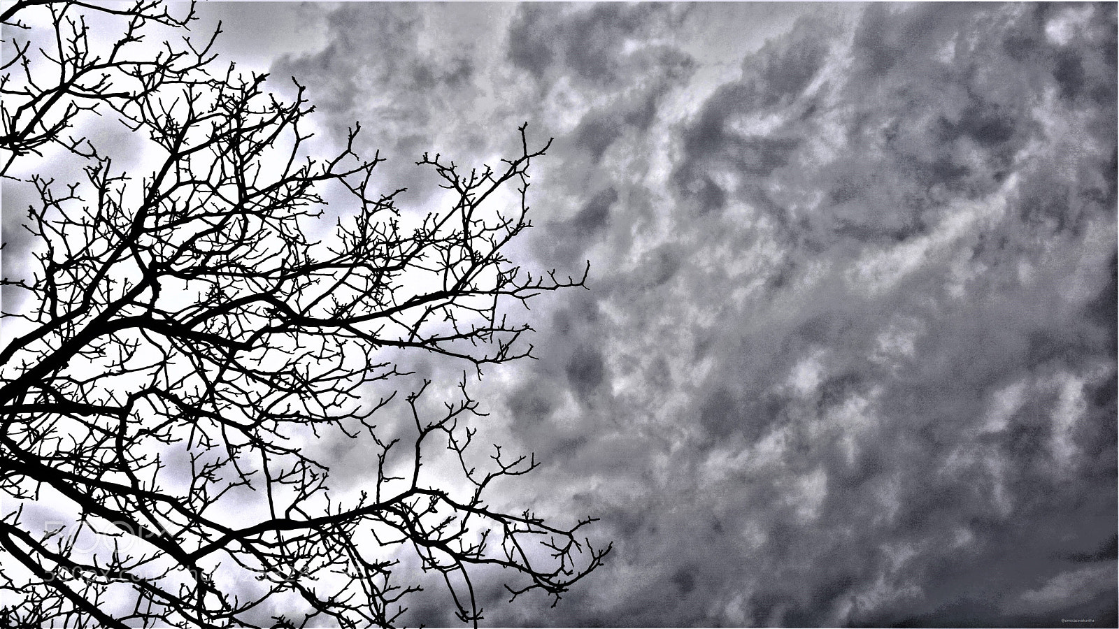 Nikon D3300 sample photo. Blackandwhitesky.jpg photography