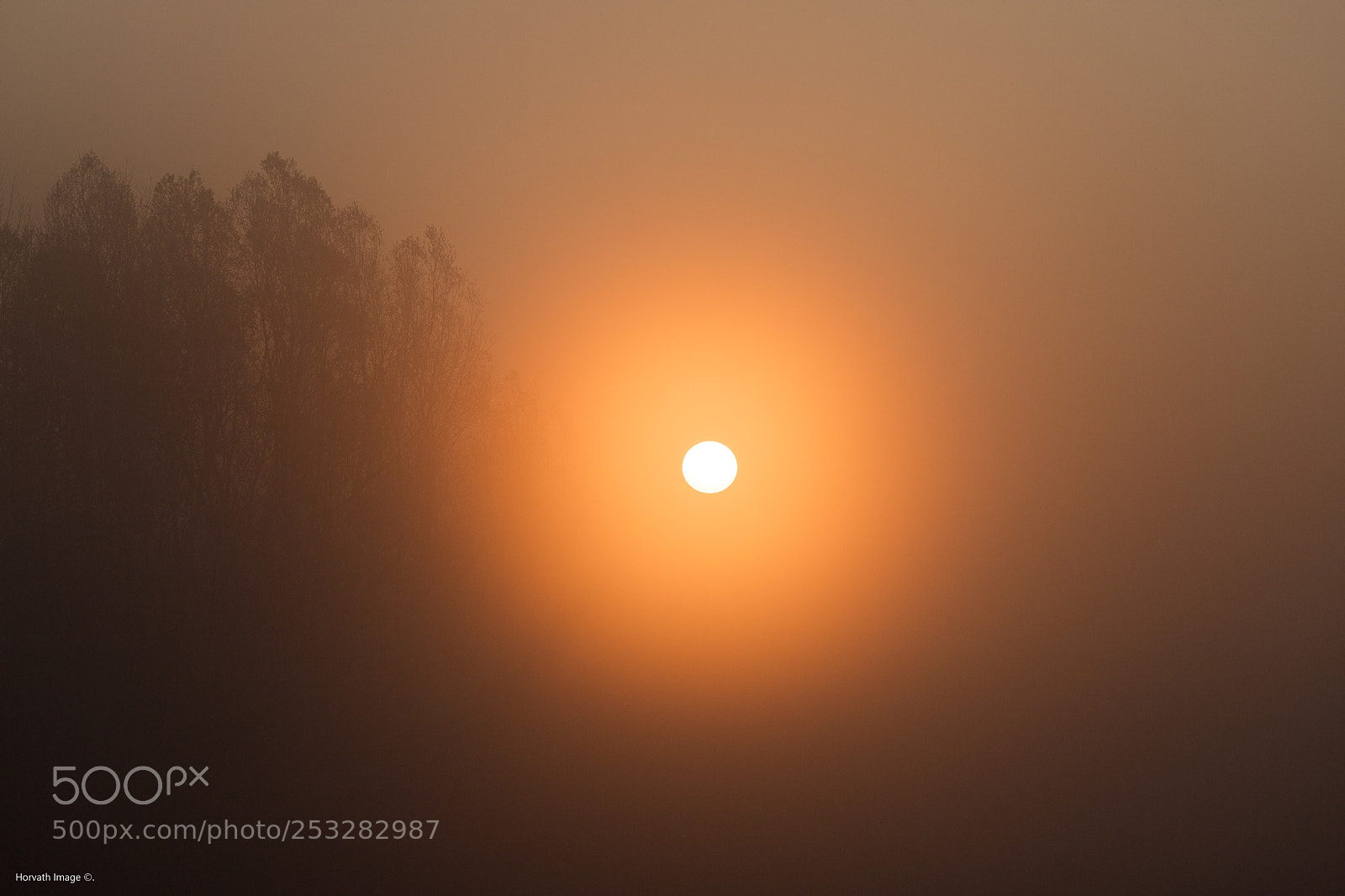 Canon EOS 6D Mark II sample photo. Morning wake up. photography