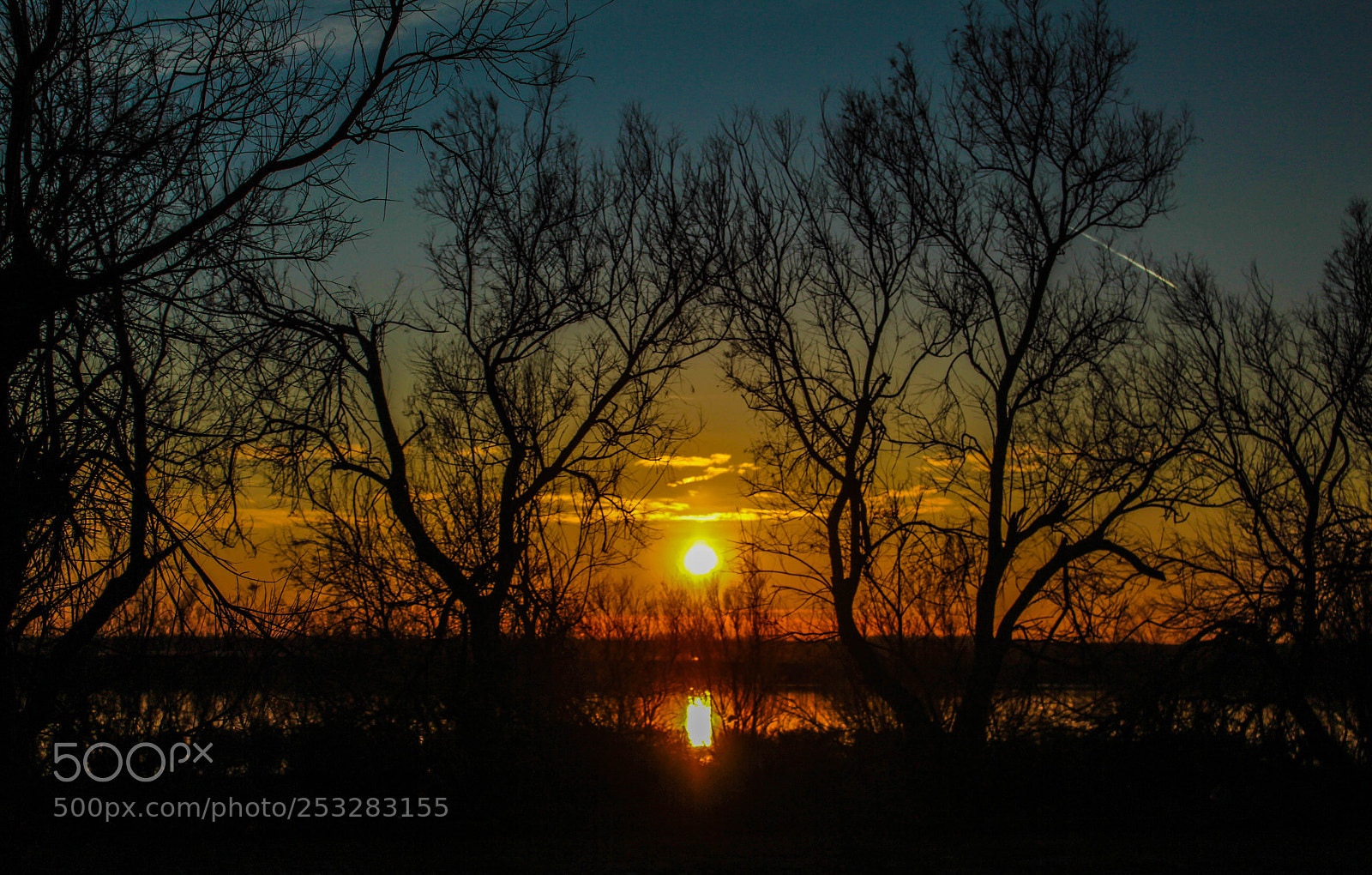 Canon EOS 700D (EOS Rebel T5i / EOS Kiss X7i) sample photo. Sundown under the trees photography