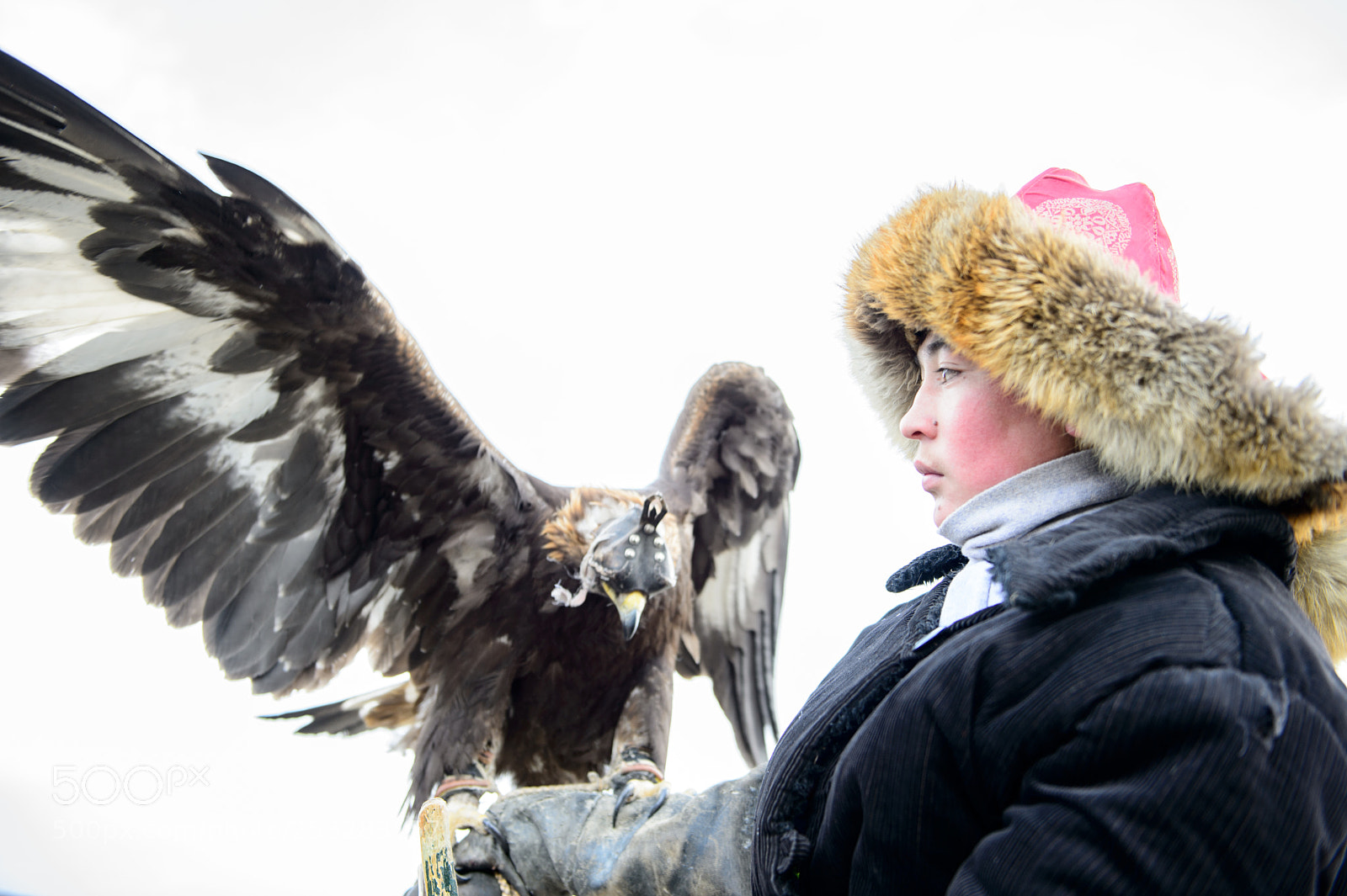 Nikon D4 sample photo. Eagle hunter photography