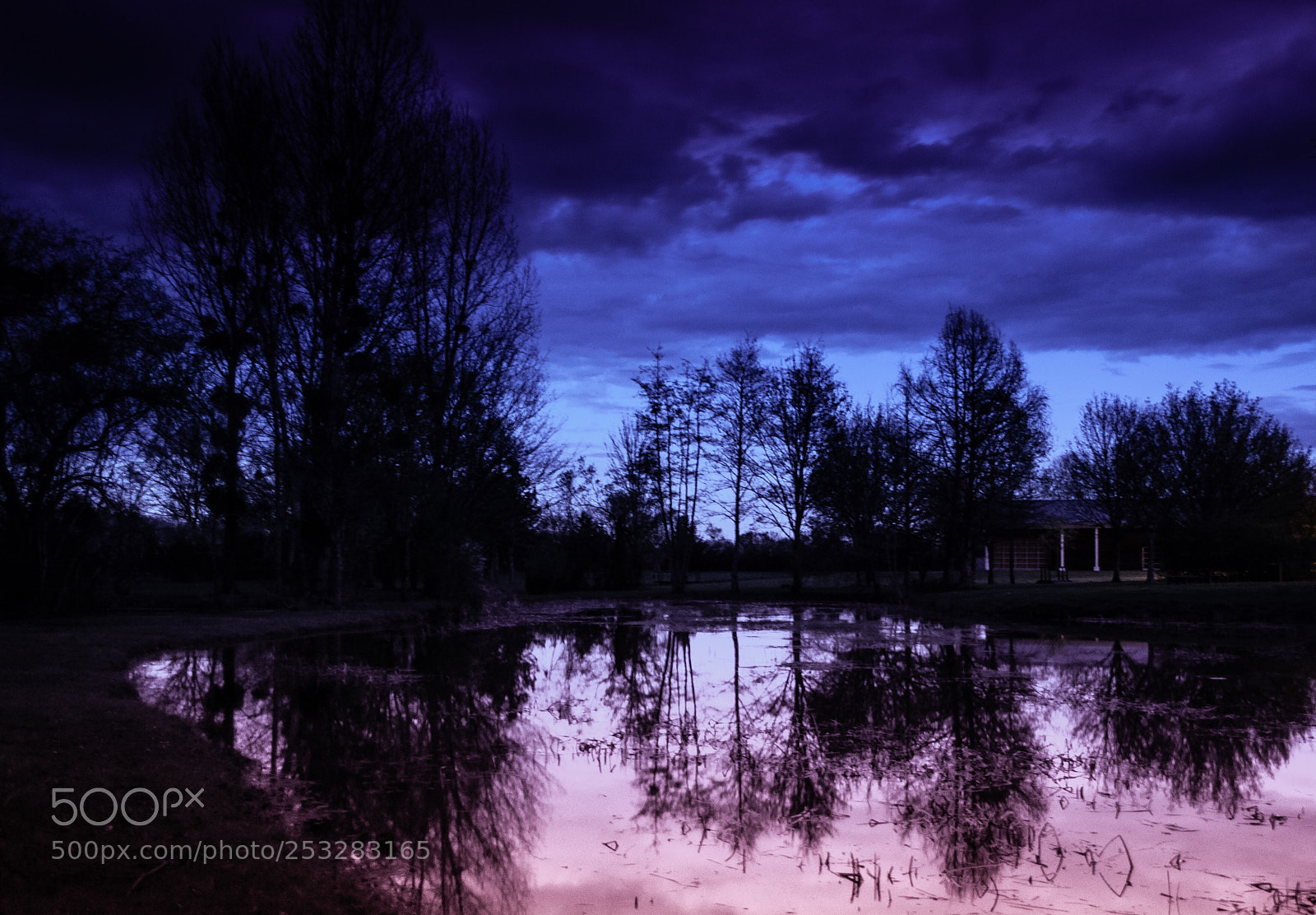 Nikon D5000 sample photo. Night shooting photography