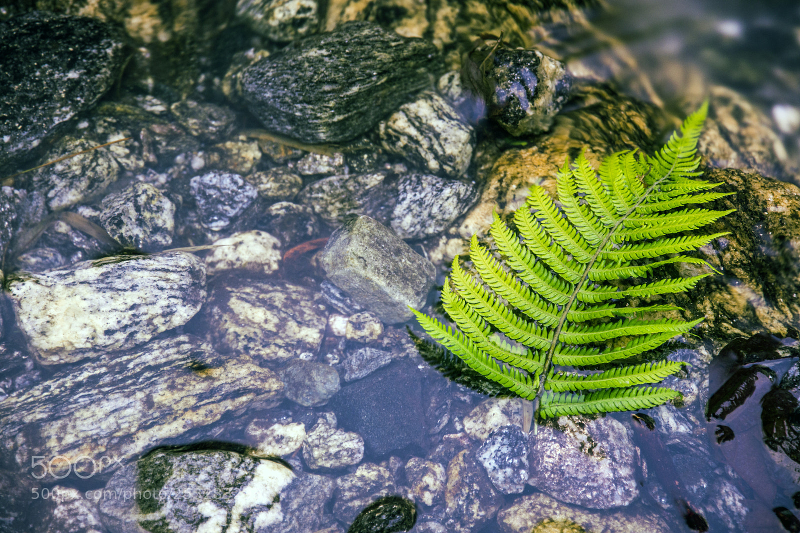 Nikon D7200 sample photo. Nature photography
