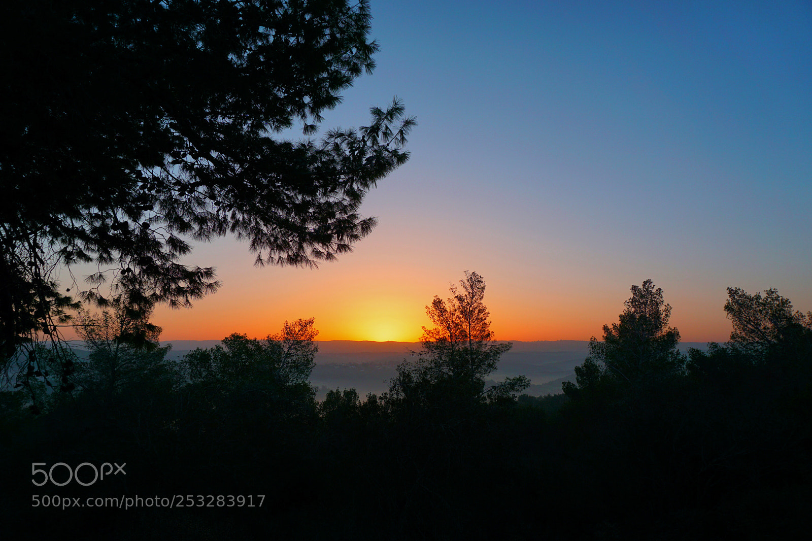Sony a6000 sample photo. Sunrise in the lachish photography