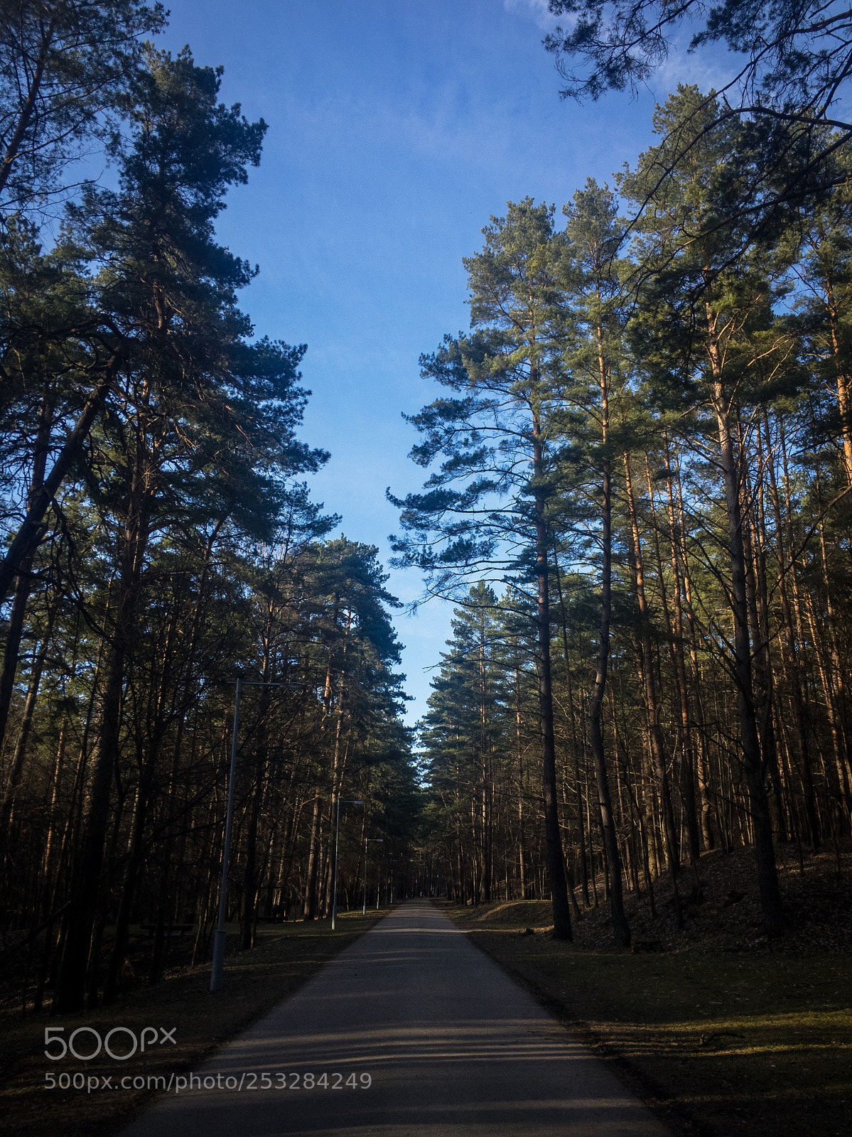 Apple iPhone 6s sample photo. Nature photography