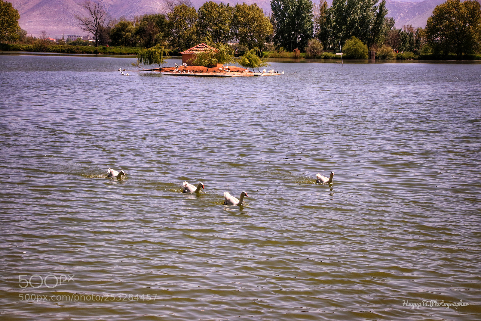 Canon EOS 80D sample photo. ? photography