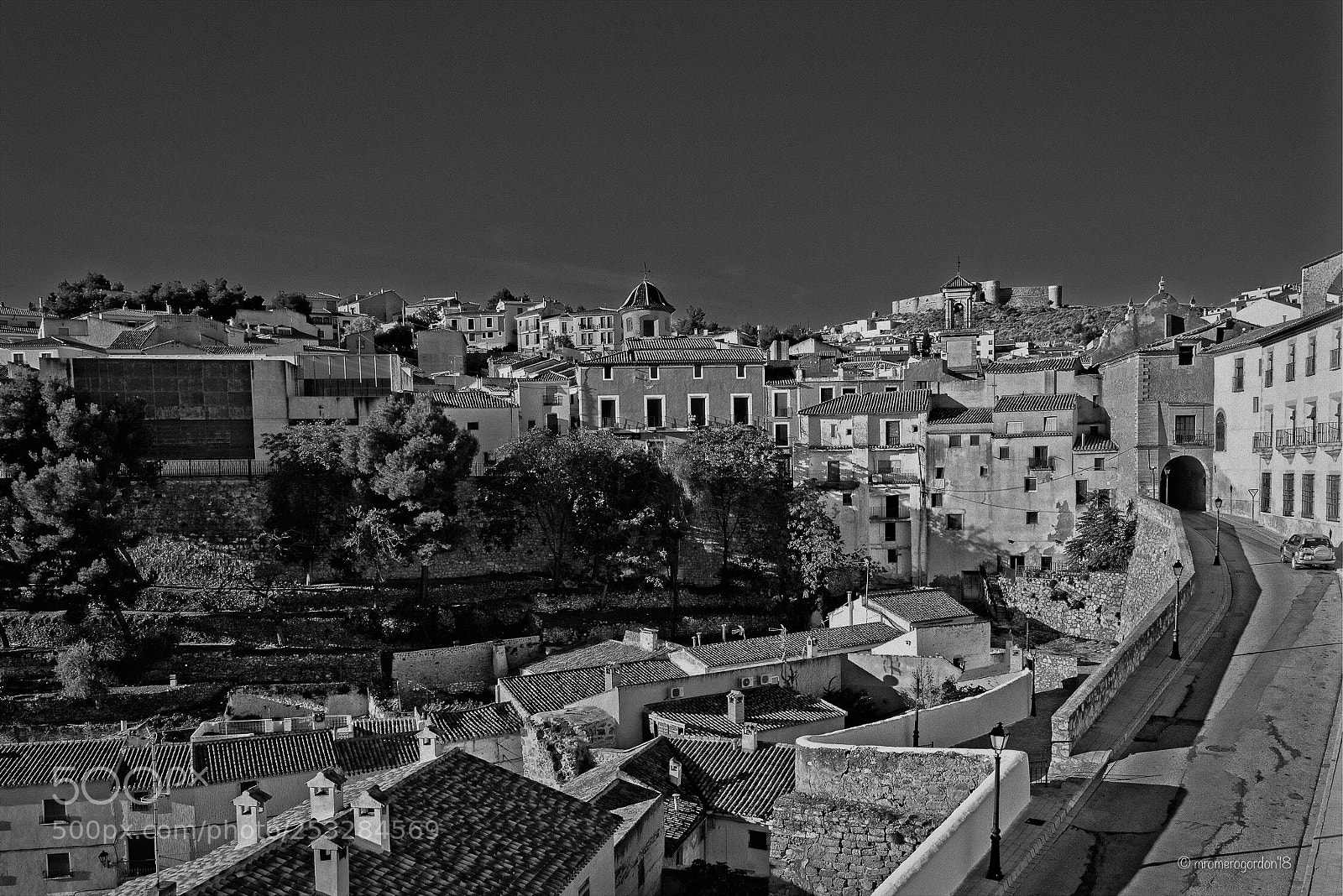 Nikon D810 sample photo. Chinchilla de montearag n photography