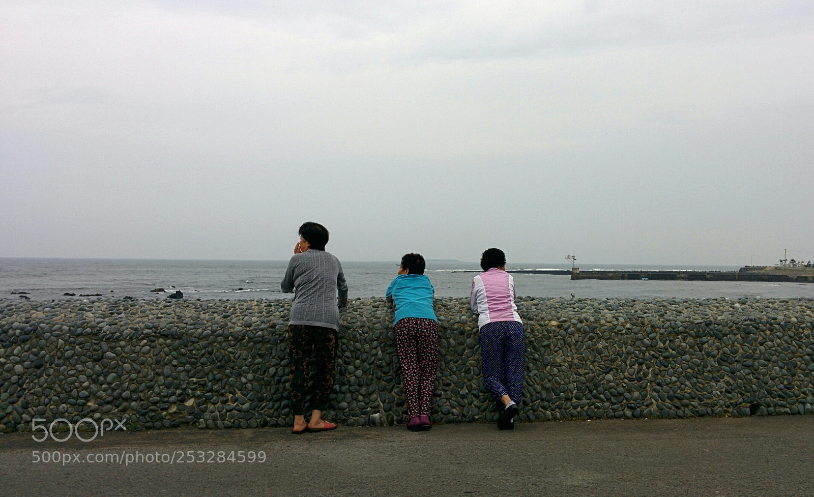 LG Nexus 5 sample photo. ~ photography