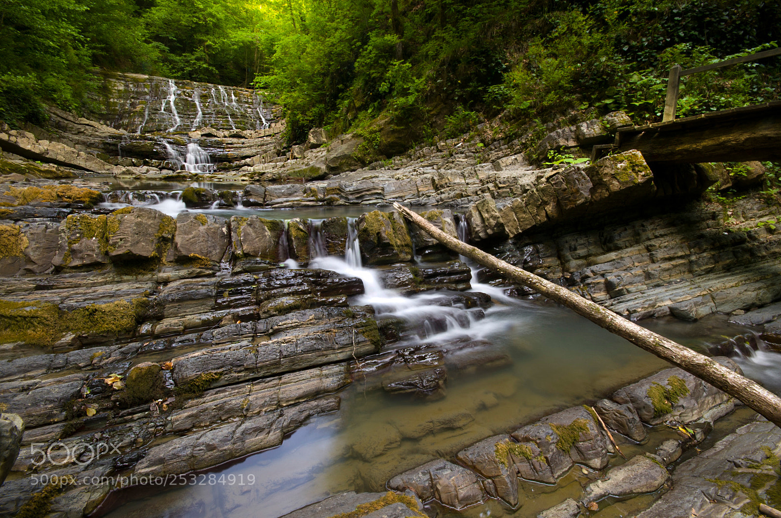 Nikon D700 sample photo. Sochi photography