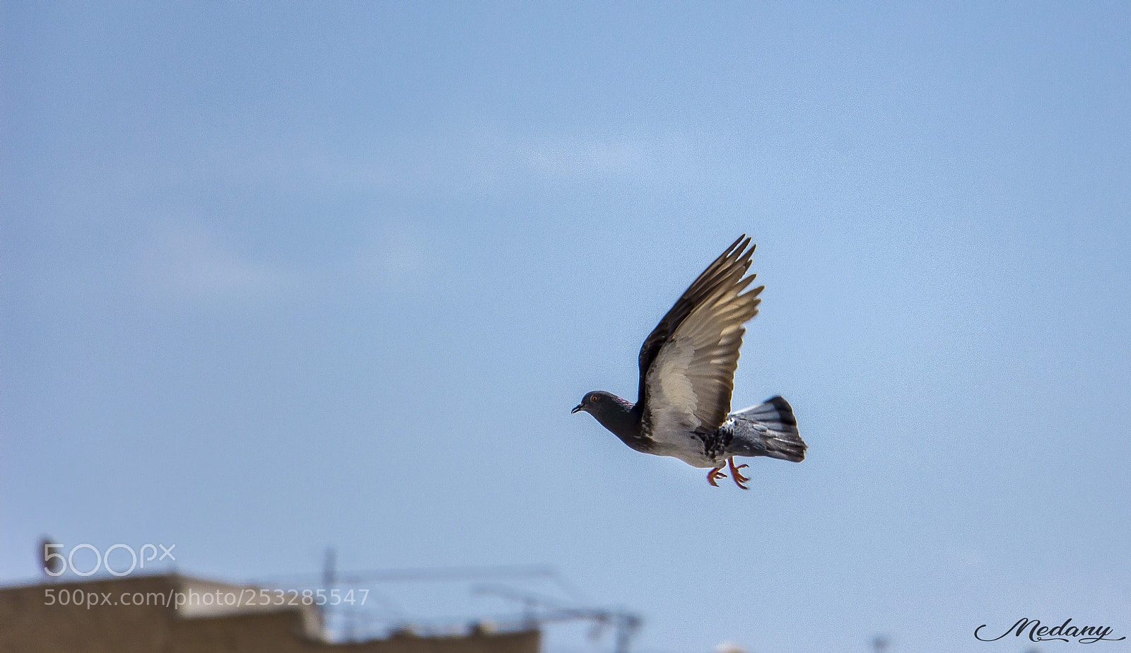 Canon EOS 700D (EOS Rebel T5i / EOS Kiss X7i) sample photo. Img photography
