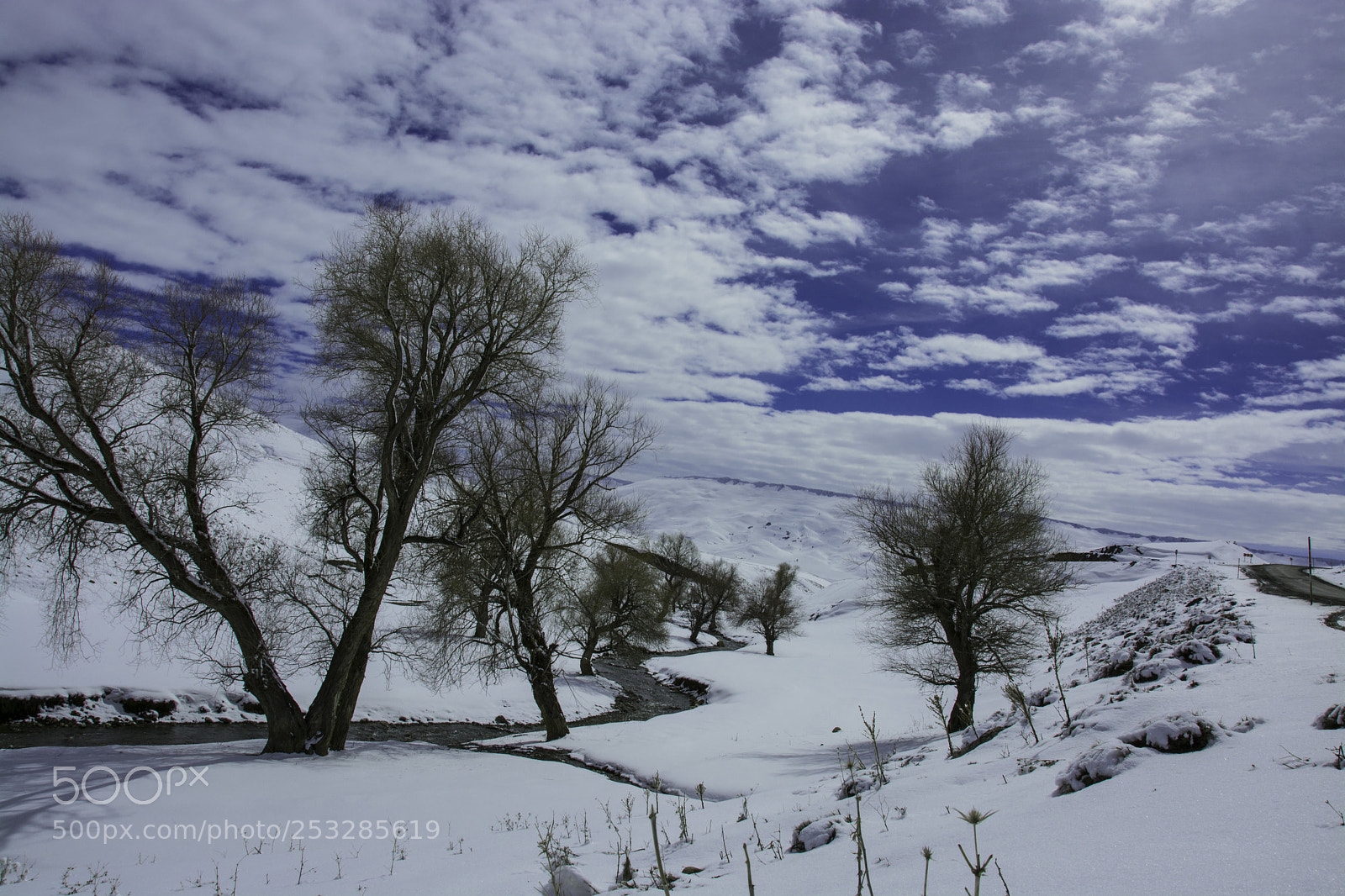 Nikon D5200 sample photo. Bing l karl ovaya photography