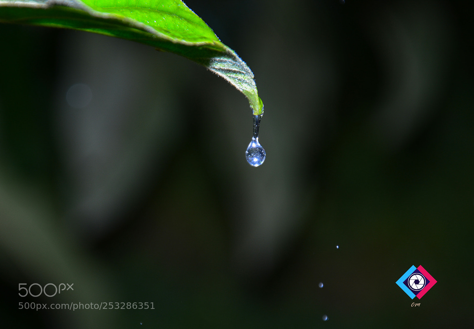Nikon D5200 sample photo. Untitled photography