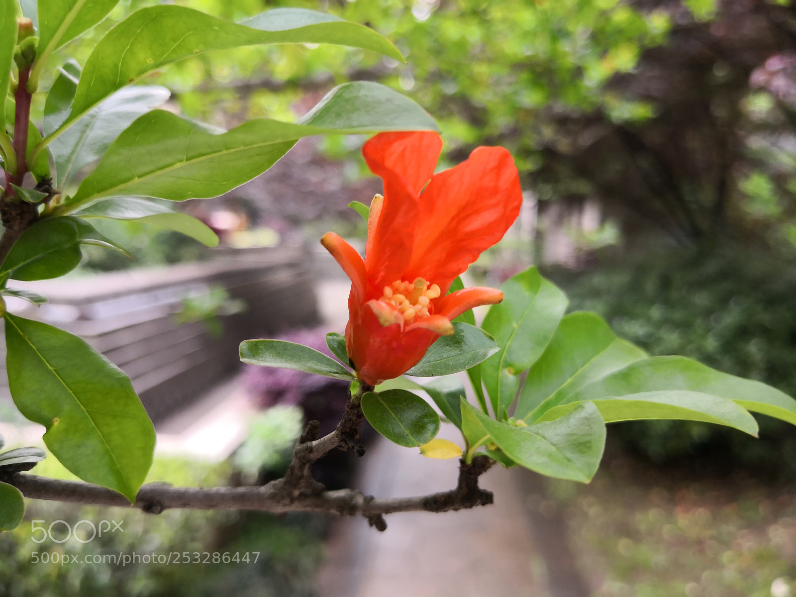 HUAWEI Mate 10 sample photo. Untitled photography